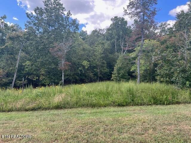 Rockwood, TN 37854,Water View DR