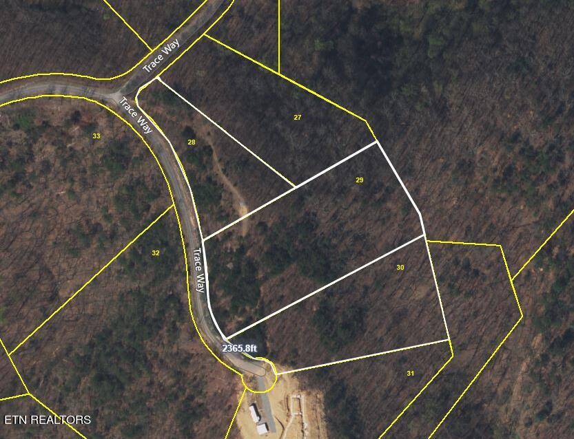 Sevierville, TN 37862,Lots 28-30 Trace WAY