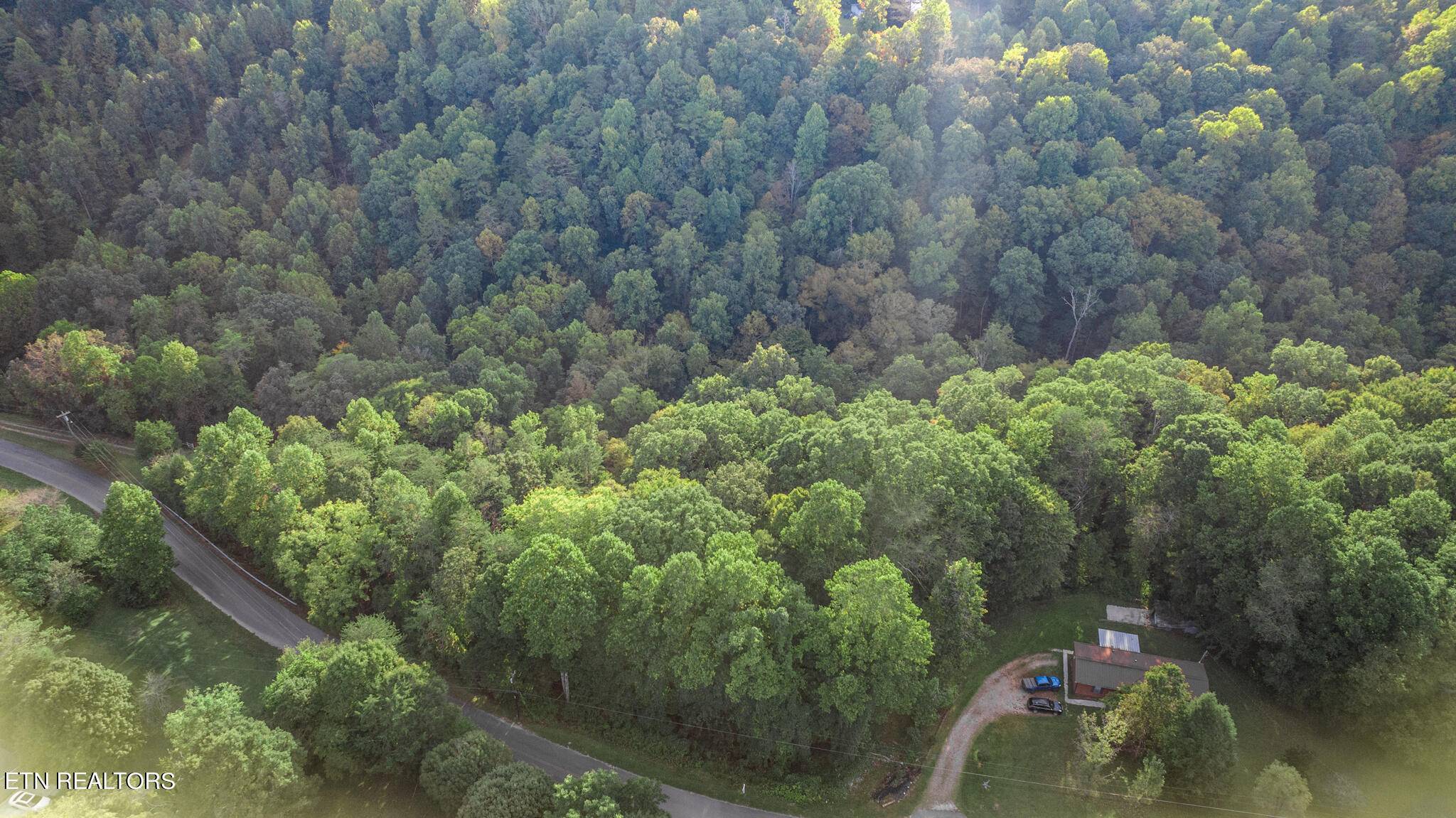 Rocky Top, TN 37769,Lot 1R Whitaker Hollow Rd