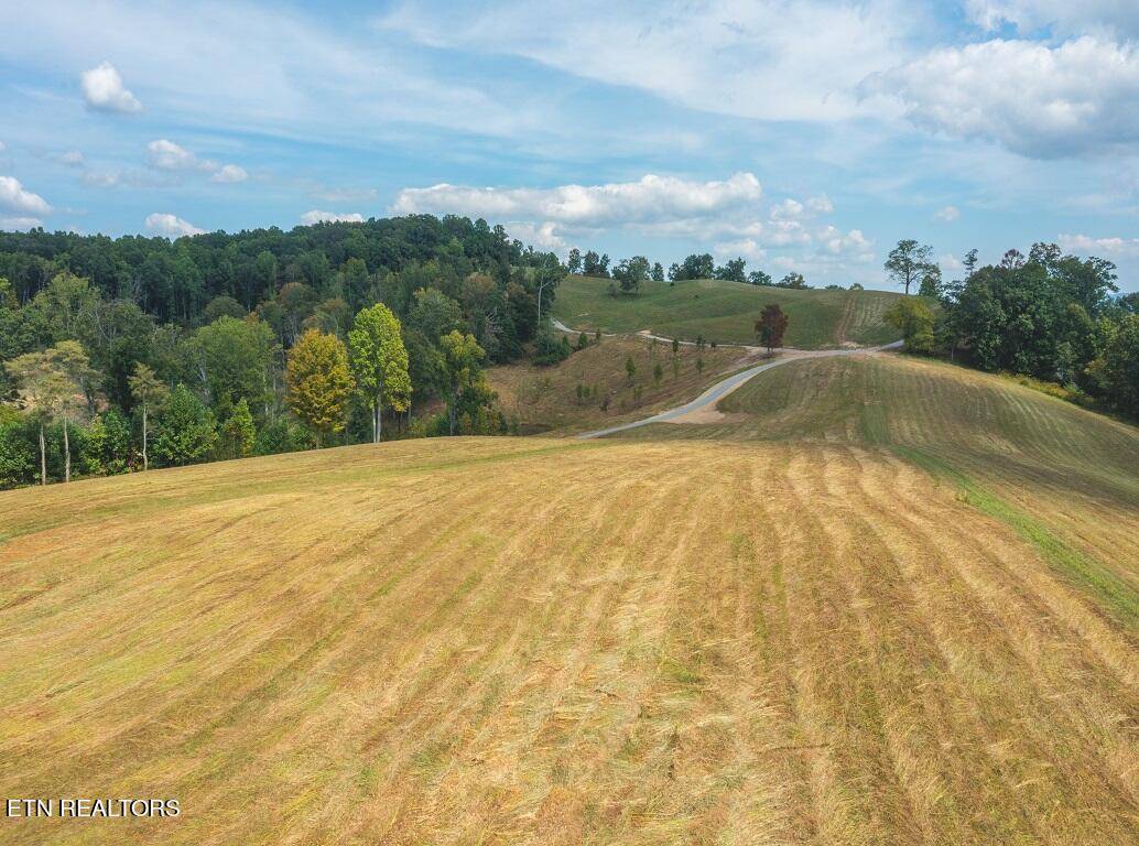 Eidson, TN 37731,261 Acres Big Springs Rd