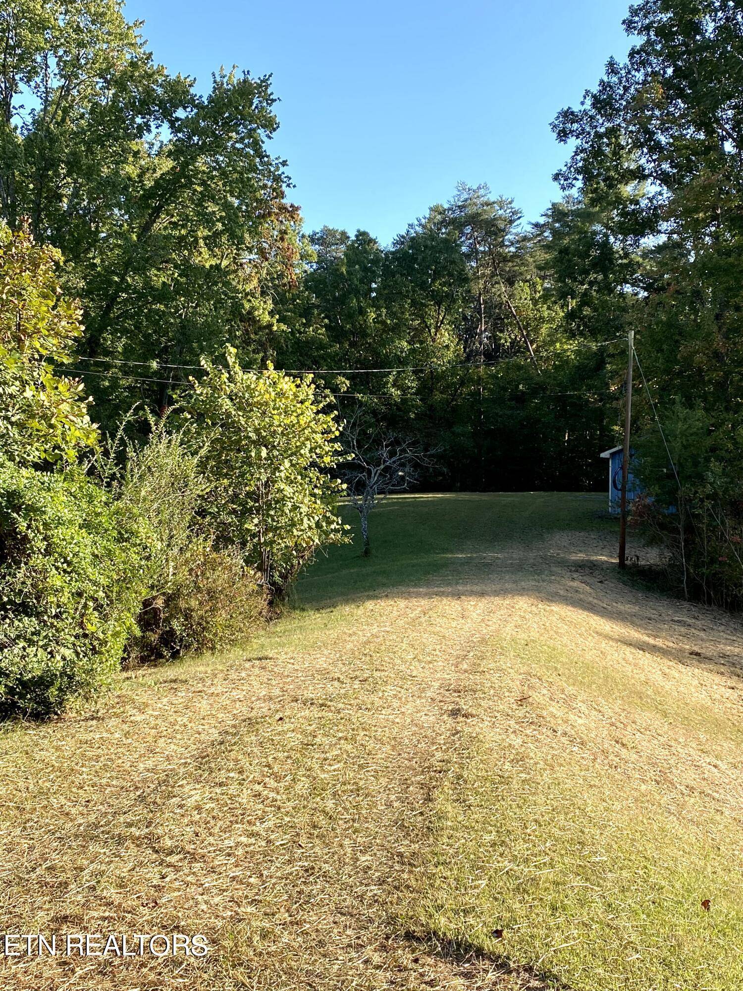 Tellico Plains, TN 37385,147 Ironsburg Rd