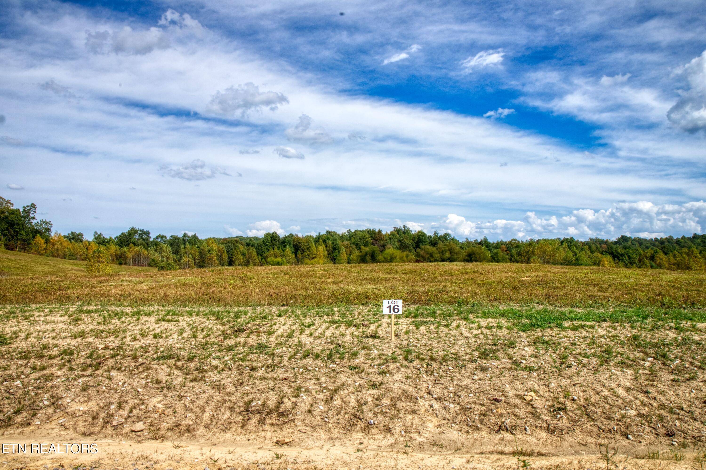 Allardt, TN 38504,Lot 16 Zenith Ridge WAY