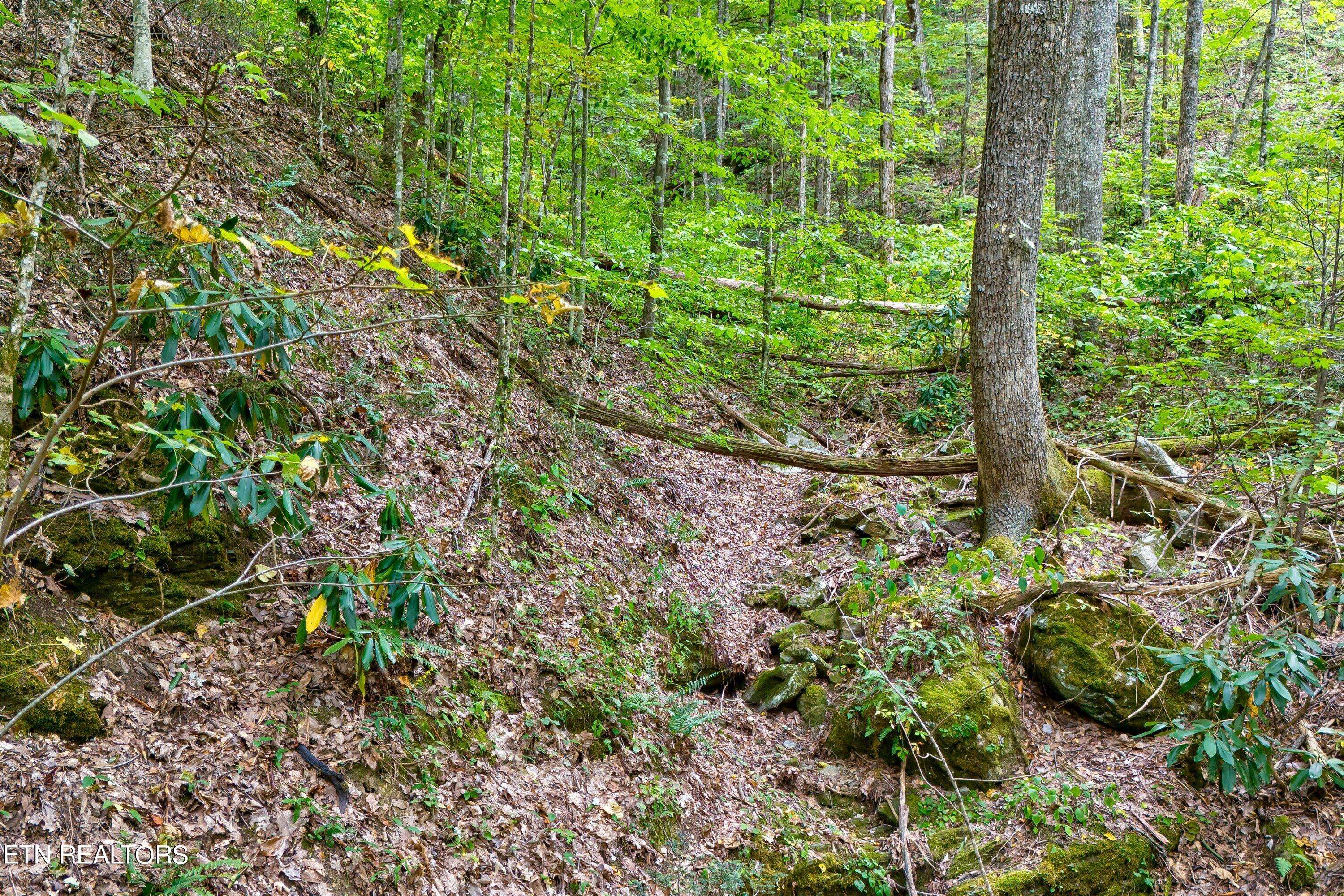 Sevierville, TN 37862,Lot 3 Balsam Slopes Rd