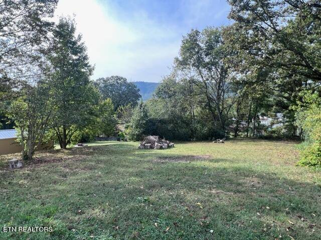 Rockwood, TN 37854,205 Ridge Ave