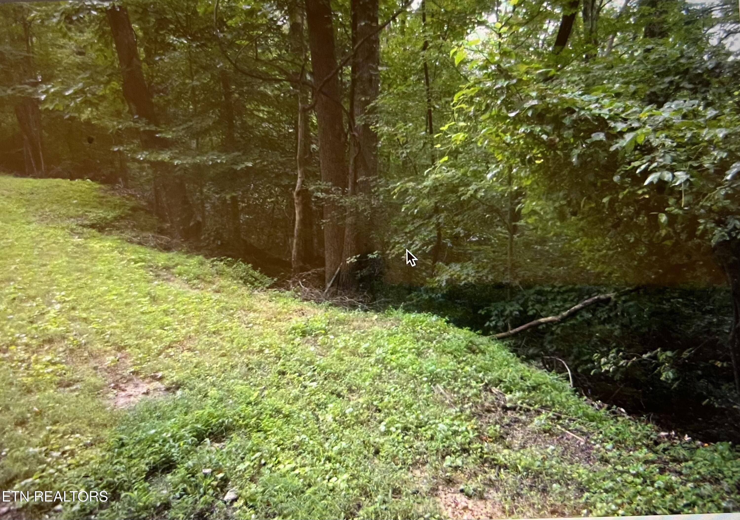 Rocky Top, TN 37769,Cumberland View Estates