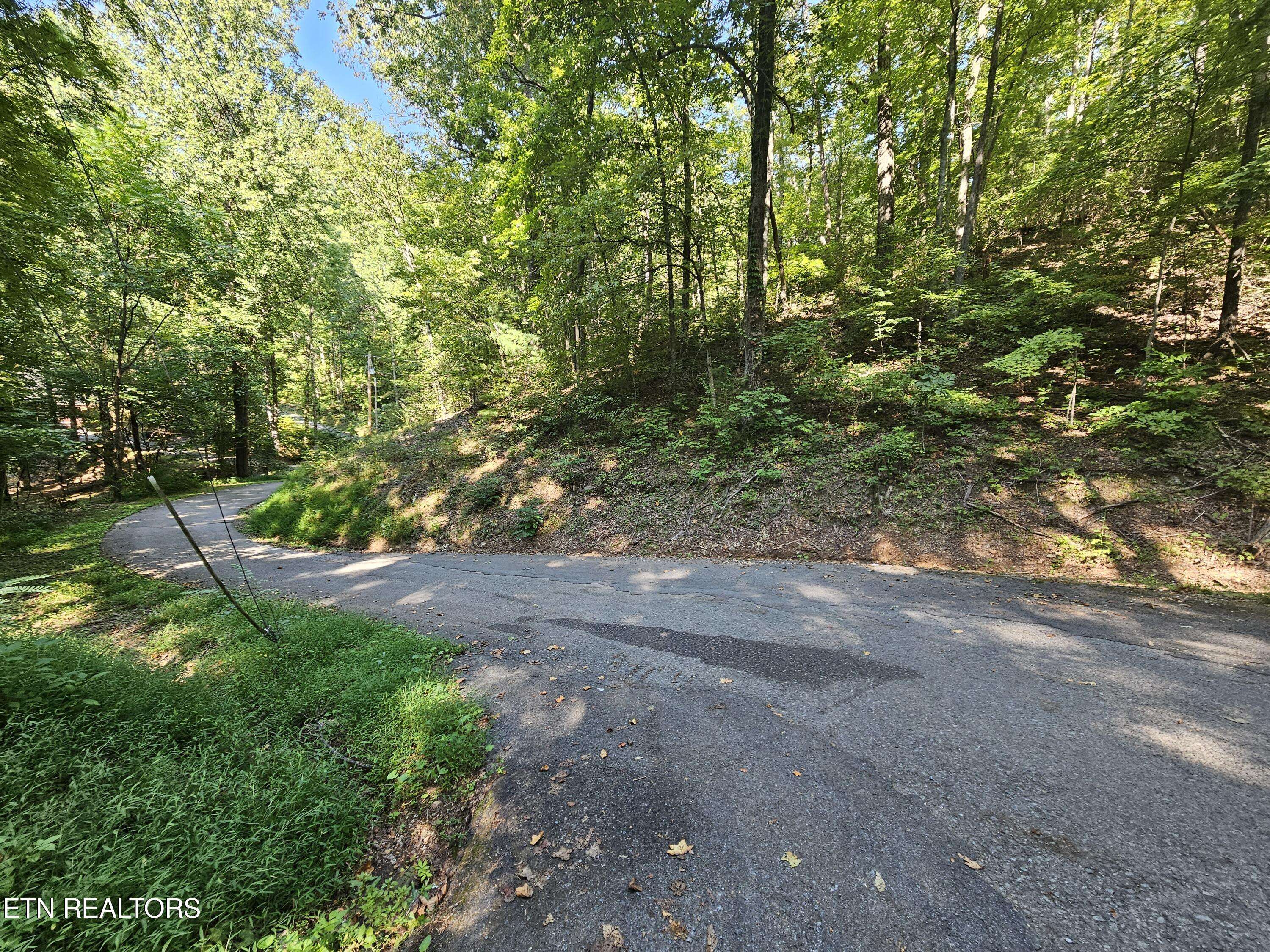 Sevierville, TN 37876,Lot 0176 Tsali DR