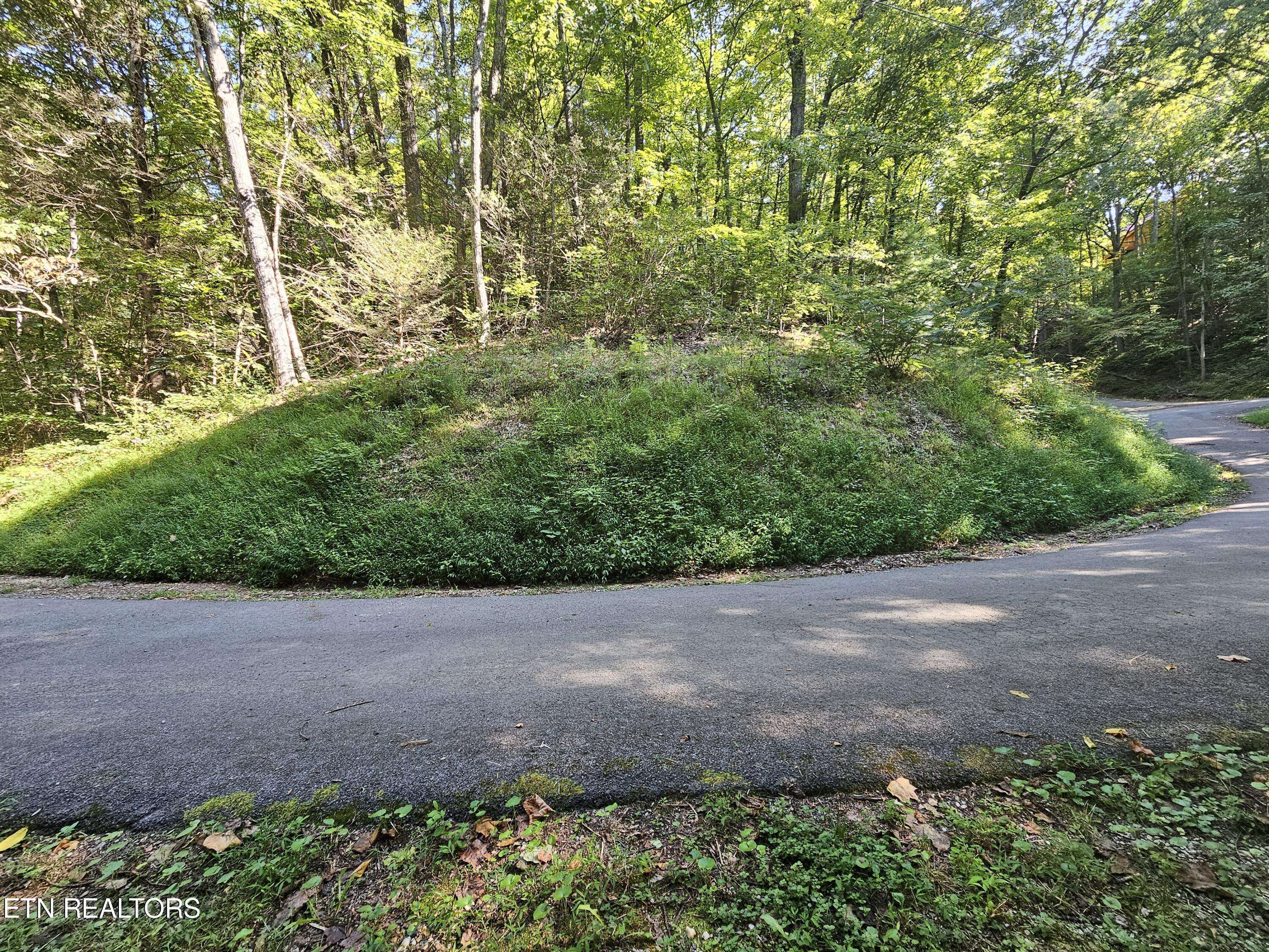 Sevierville, TN 37876,Lot 0176 Tsali DR