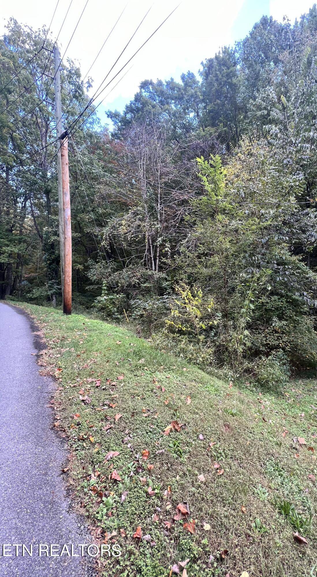 Sevierville, TN 37876,Lot 707A School House Gap Rd