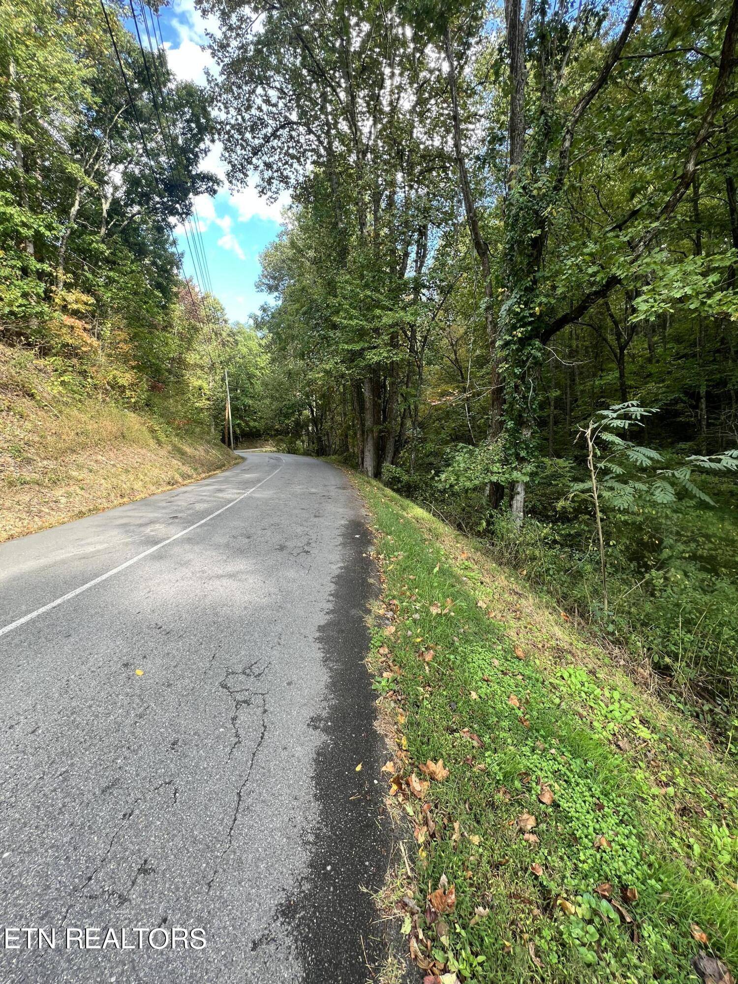 Sevierville, TN 37876,Lot 707A School House Gap Rd