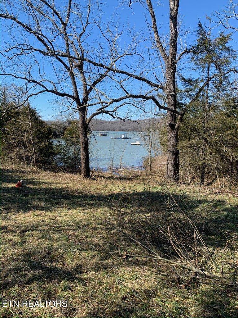 Sharps Chapel, TN 37866,Lot 420 Anchor PL