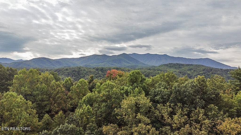 Gatlinburg, TN 37738,Lot 20 Ownby CIR