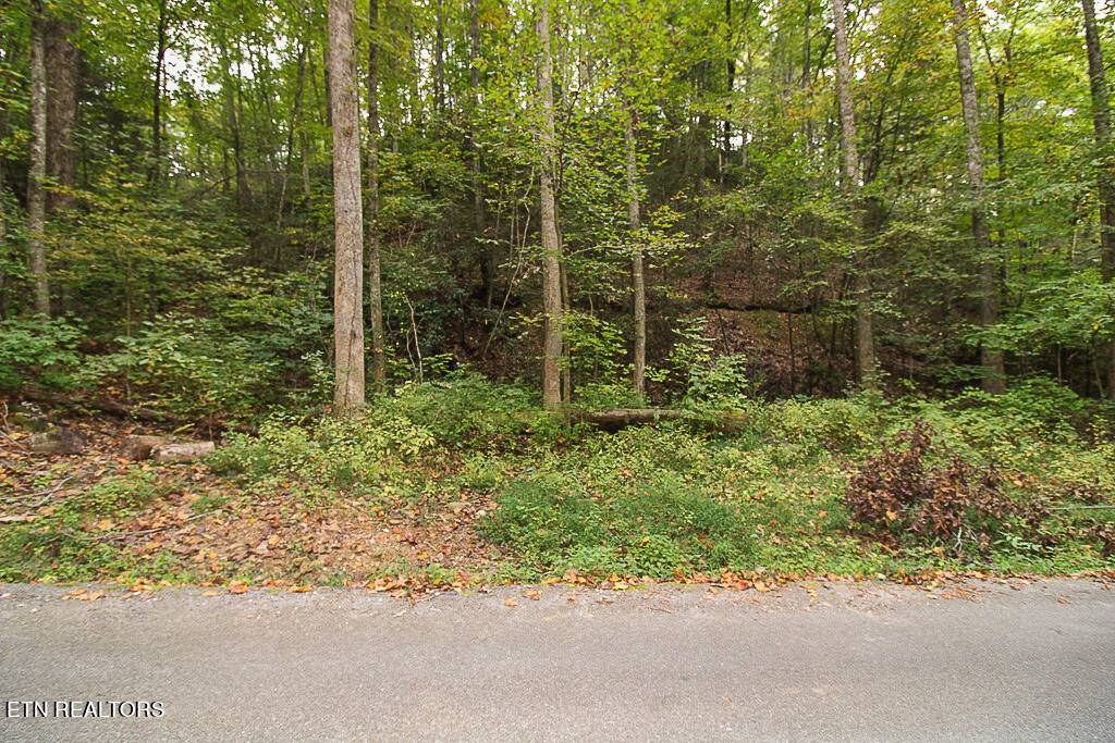 Gatlinburg, TN 37738,Lot 20 Ownby CIR