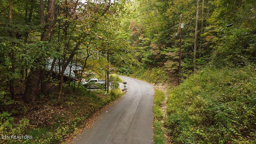 Gatlinburg, TN 37738,Lot 20 Ownby CIR