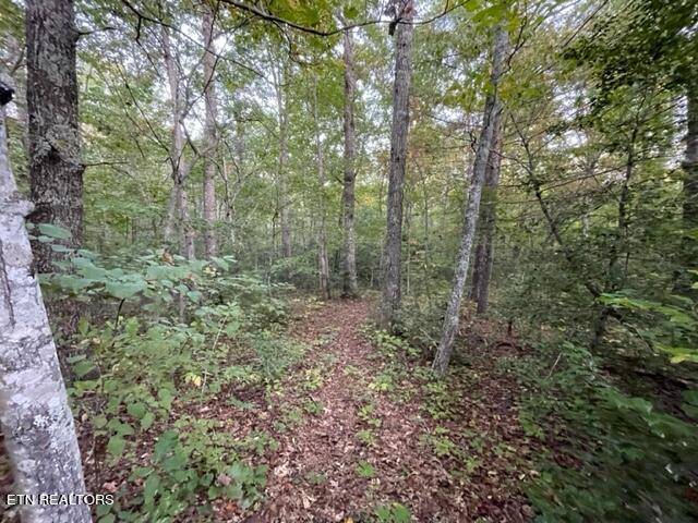 Crab Orchard, TN 37723,Hebbertsburg Rd