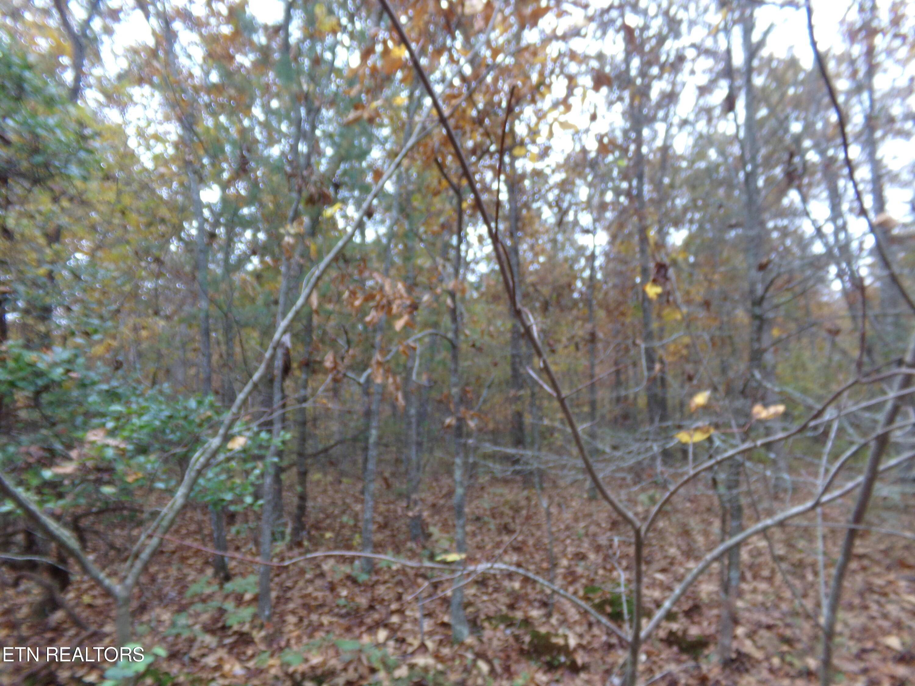 Crossville, TN 38572,1017 Hileah DR