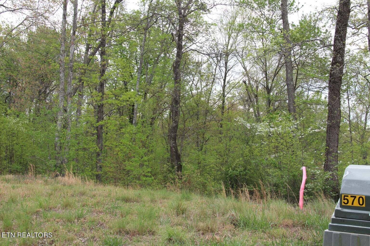 Lafollette, TN 37766,Lot 570 Two Rivers LN