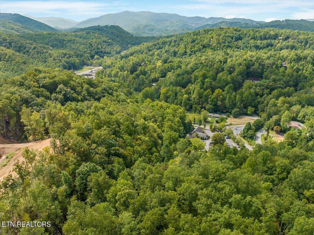 Gatlinburg, TN 37738,Glades Rd