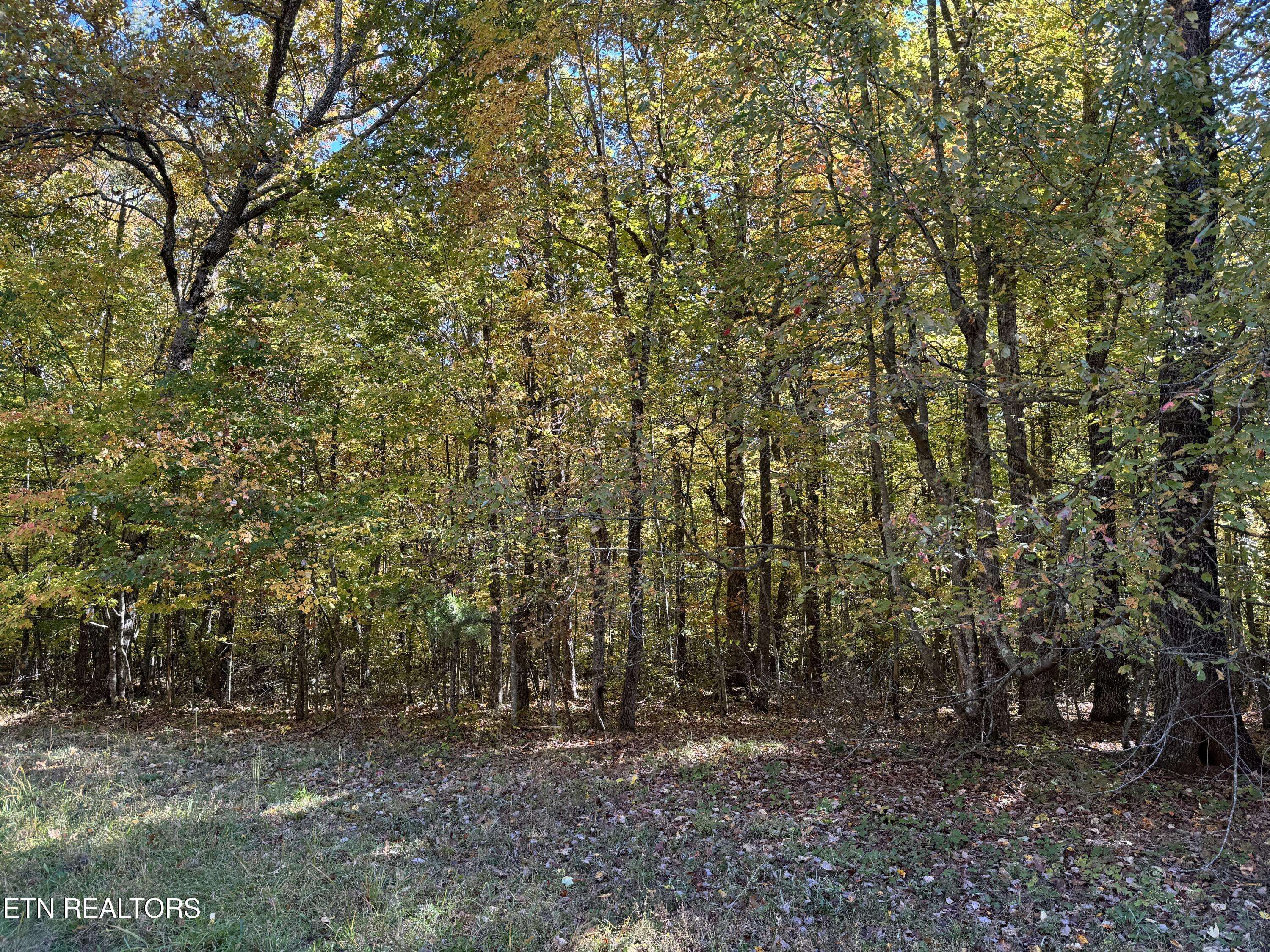 Monterey, TN 38574,Laurel WAY