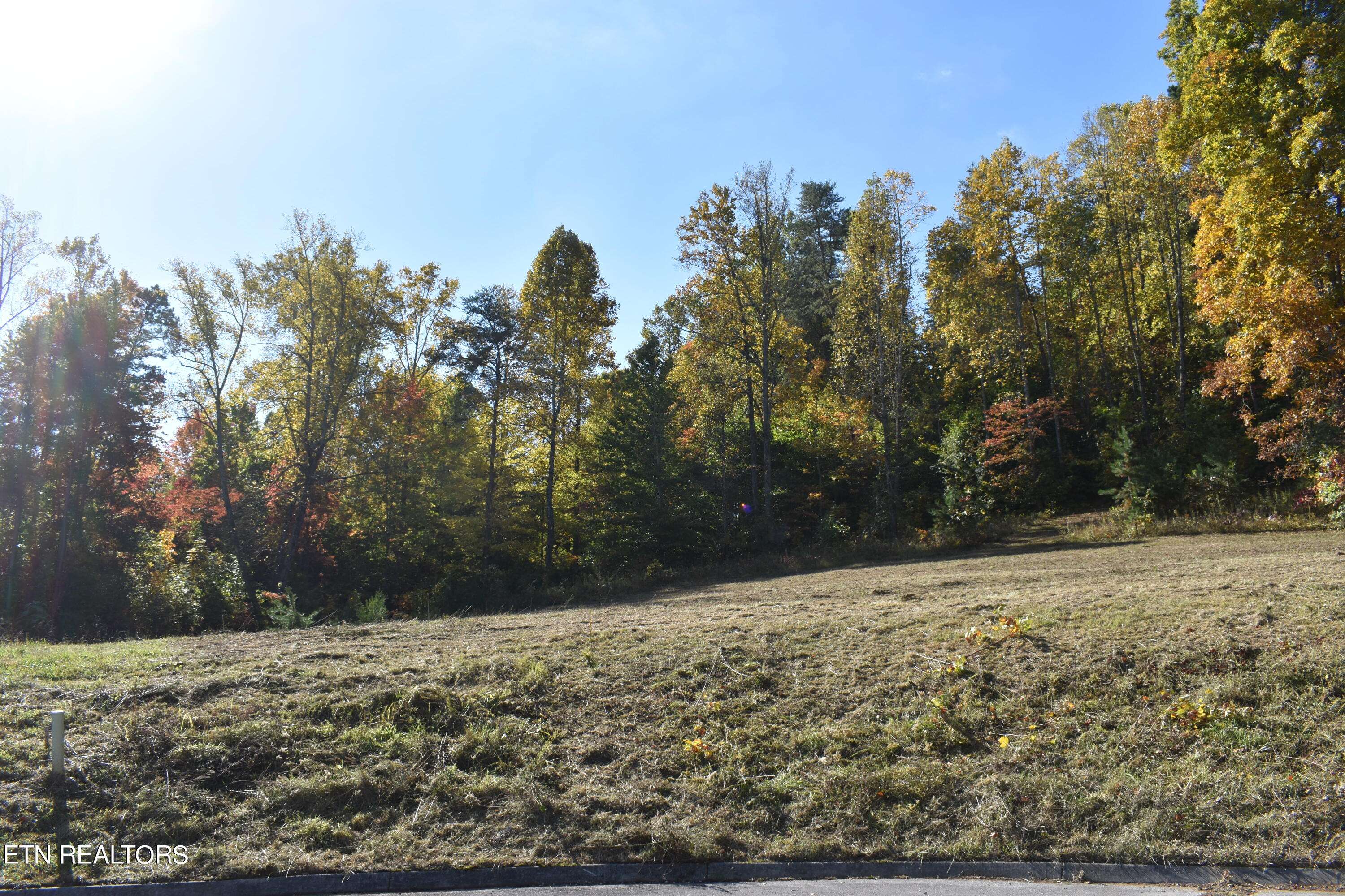 Strawberry Plains, TN 37871,Lot 7 Briar Ridge LN