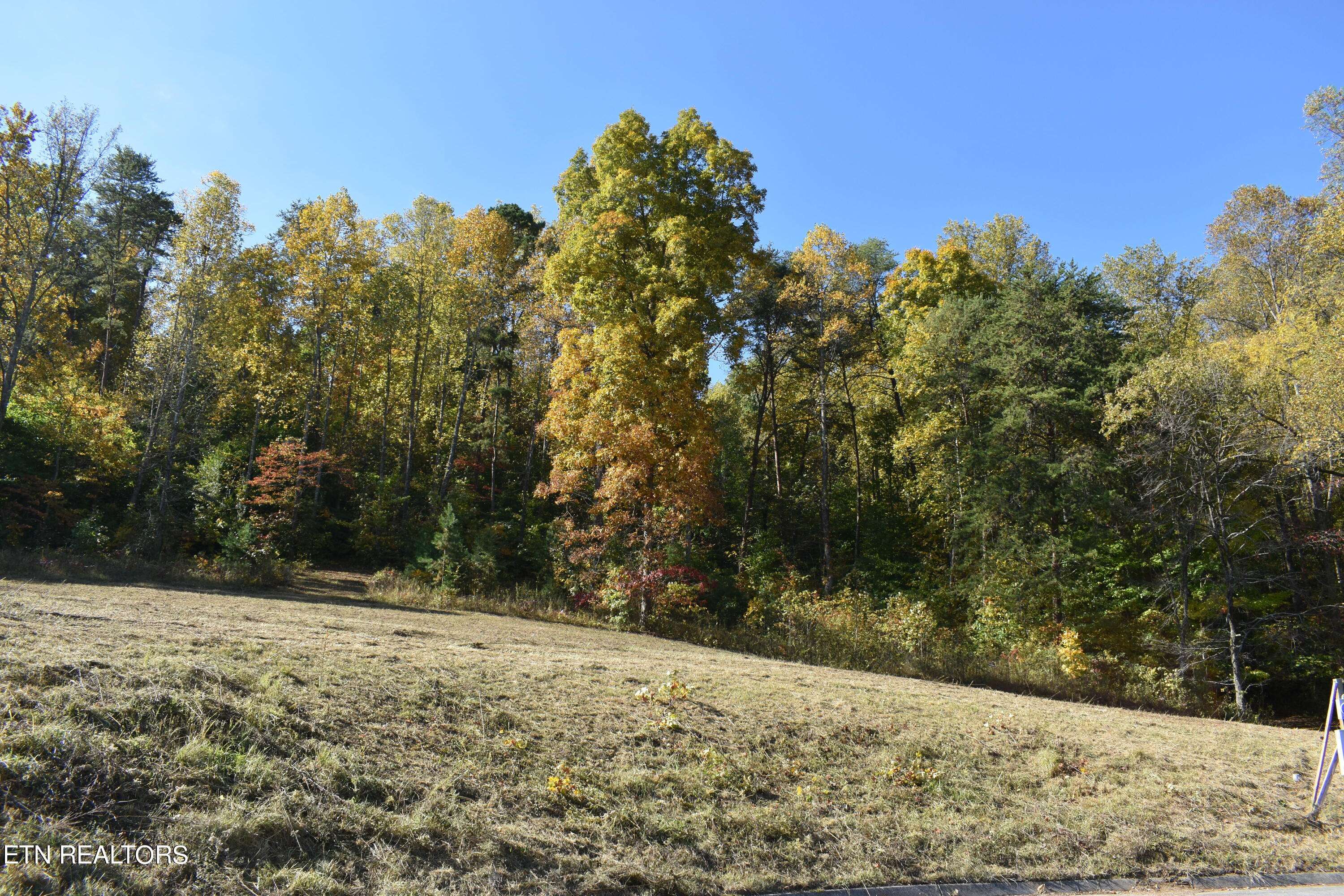 Strawberry Plains, TN 37871,Lot 7 Briar Ridge LN