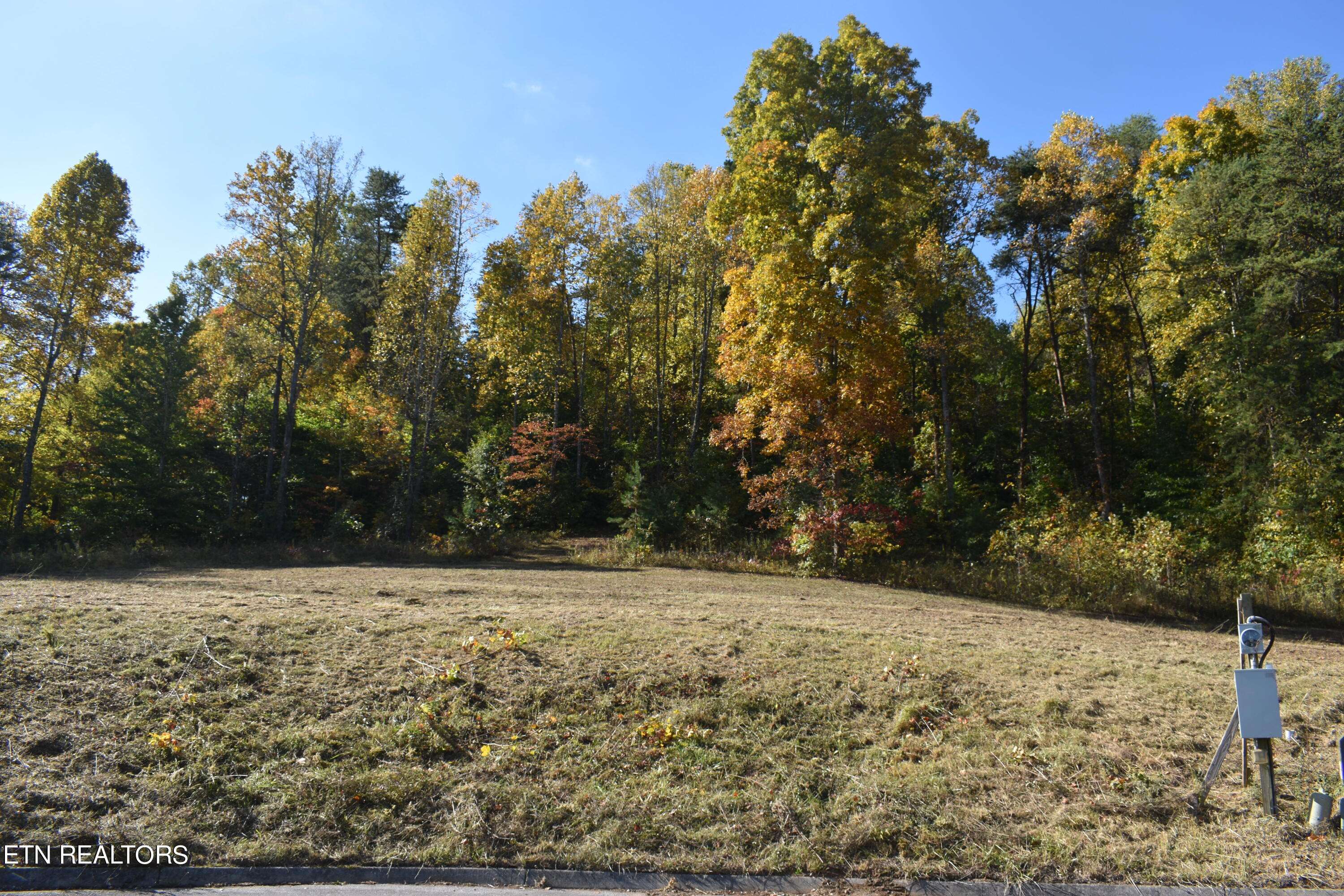 Strawberry Plains, TN 37871,Lot 7 Briar Ridge LN