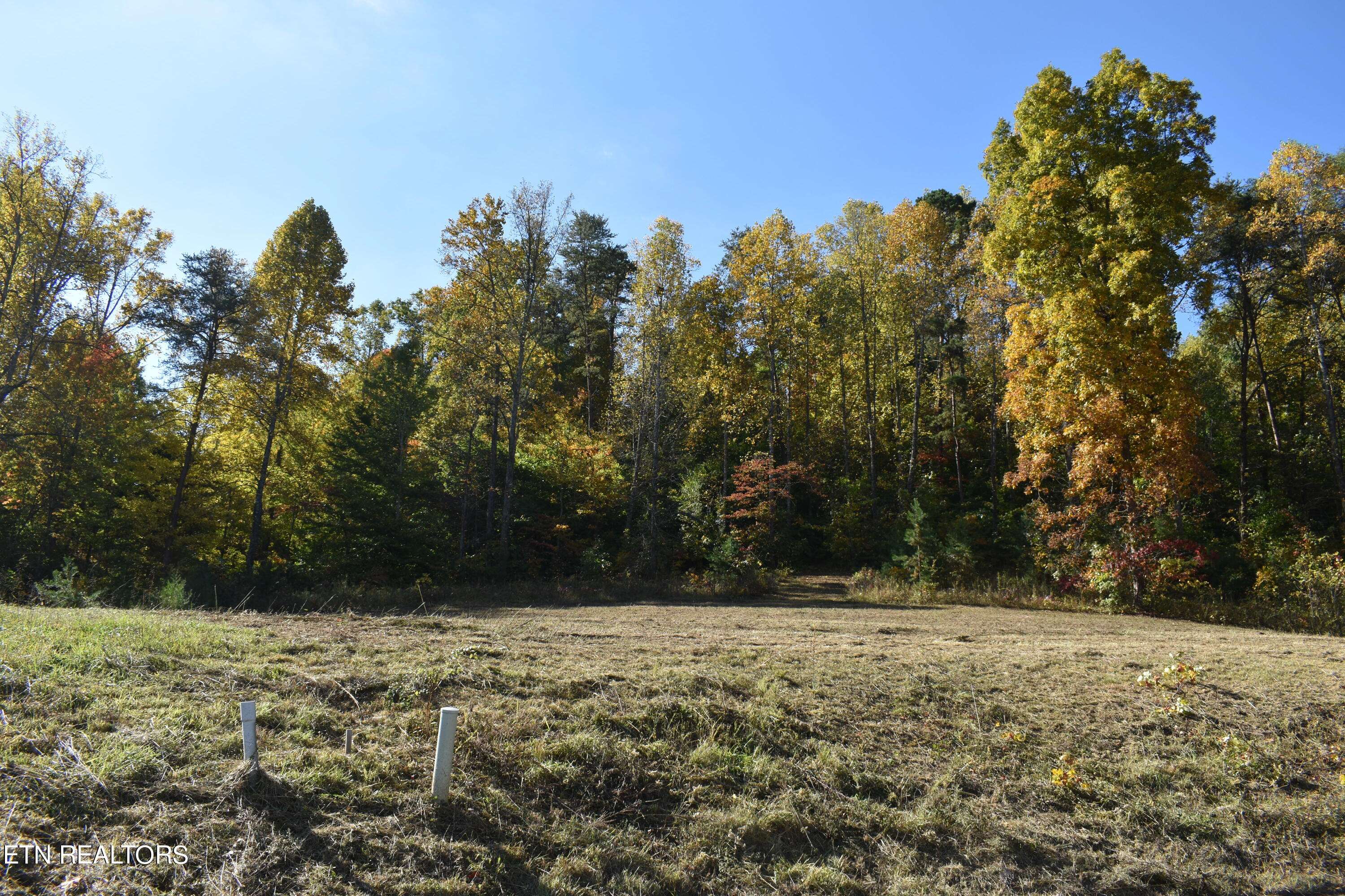 Strawberry Plains, TN 37871,Lot 7 Briar Ridge LN