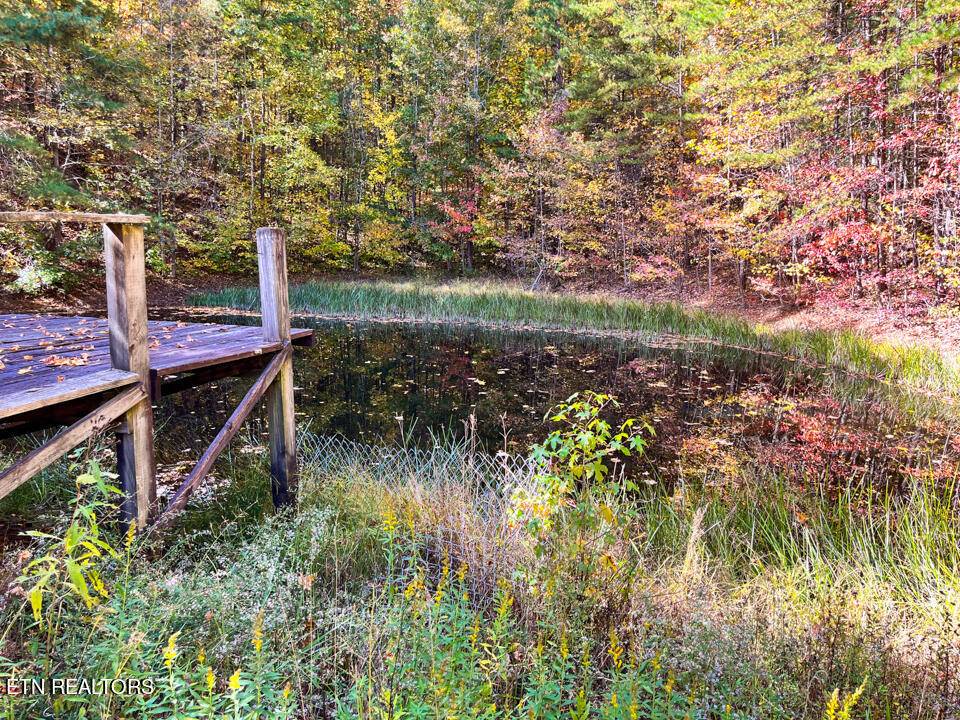 Wartburg, TN 37887,146 Peach Tree CIR