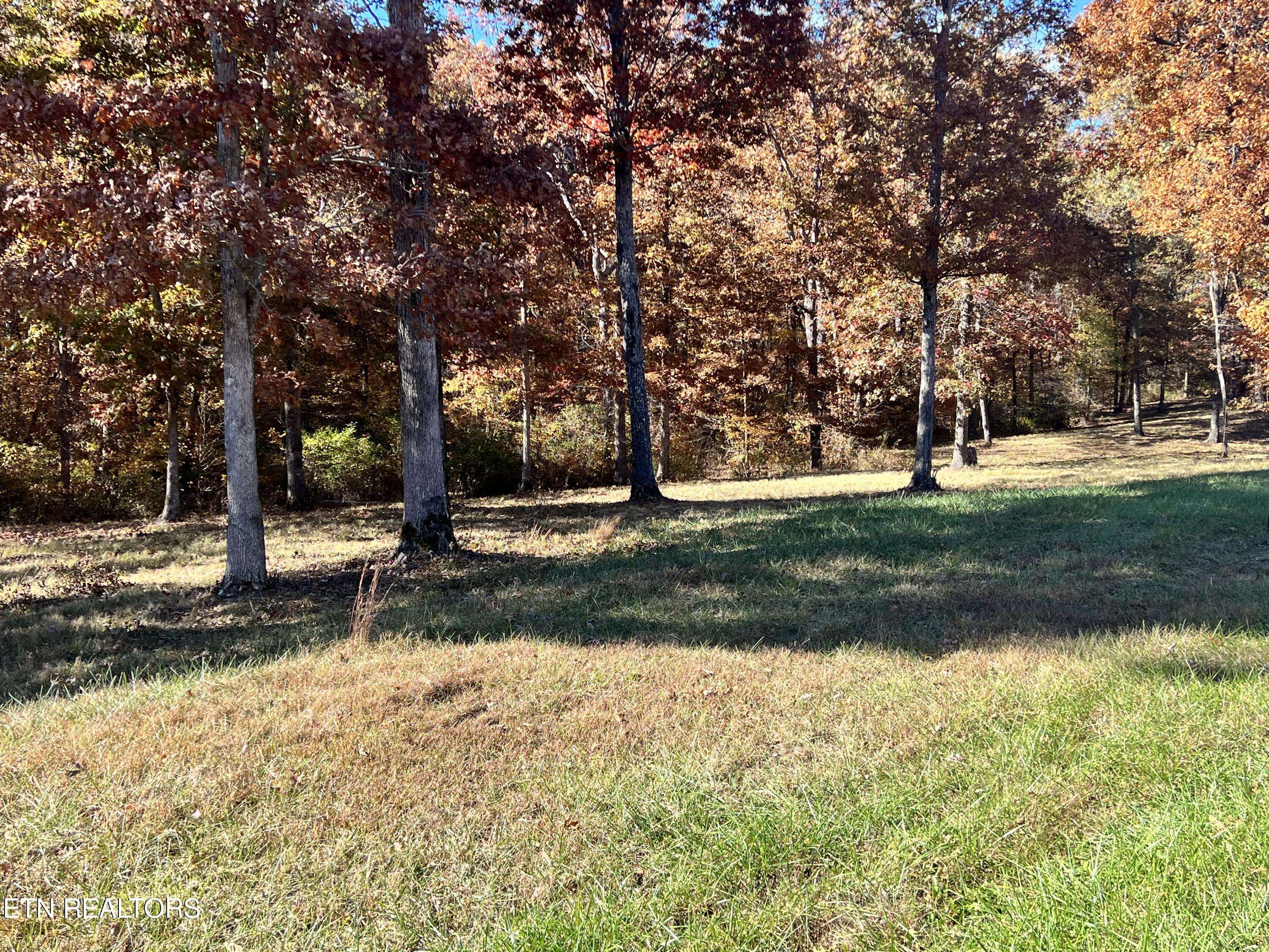 Crossville, TN 38571,Lot 11 Bluff View LOOP