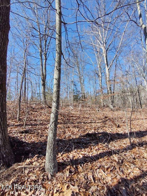 Sevierville, TN 37876,Lot 15 Hickory Tree St