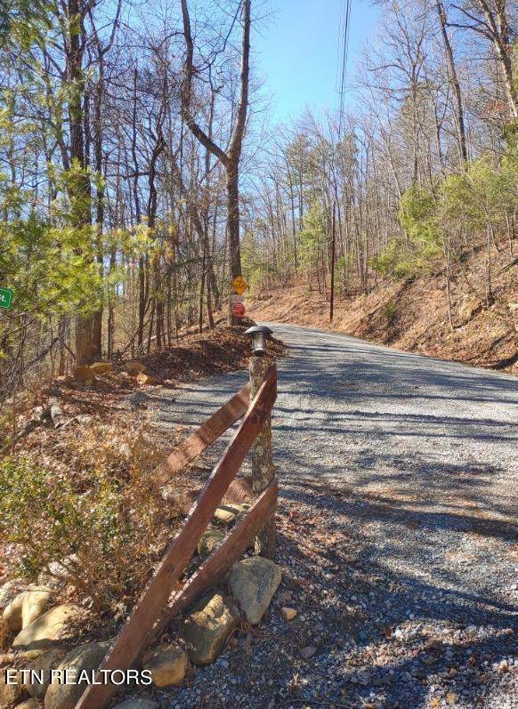 Sevierville, TN 37876,Lot 15 Hickory Tree St