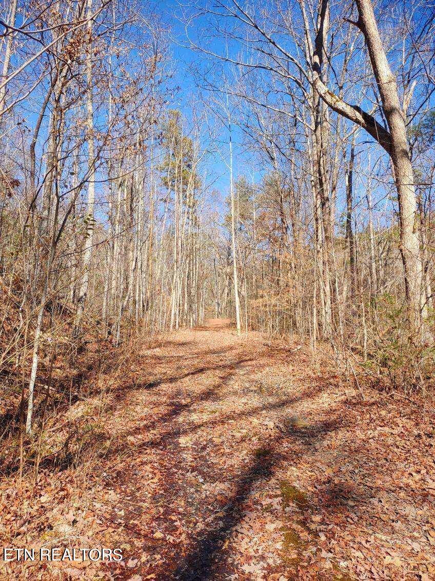 Sevierville, TN 37876,Lot 15 Hickory Tree St