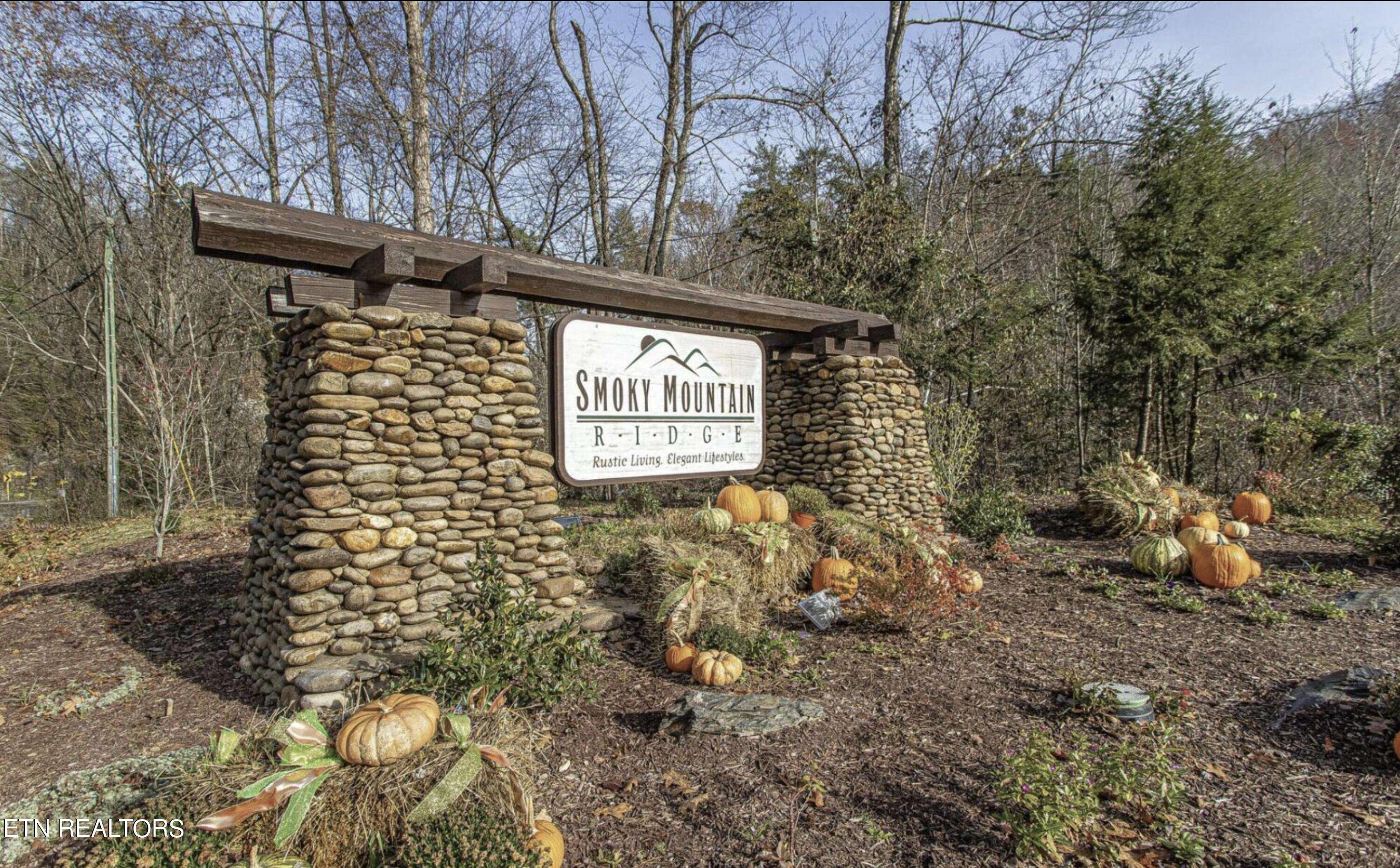 Sevierville, TN 37862,Lot #66 Smoky Ridge Way