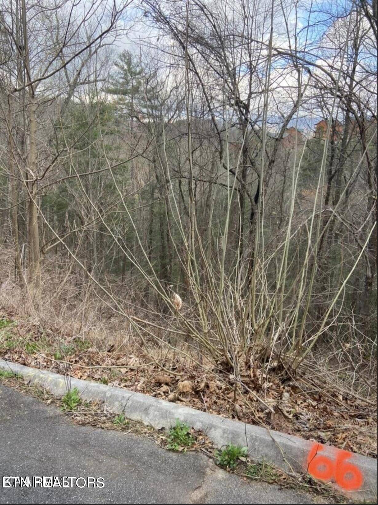 Sevierville, TN 37862,Lot #66 Smoky Ridge Way