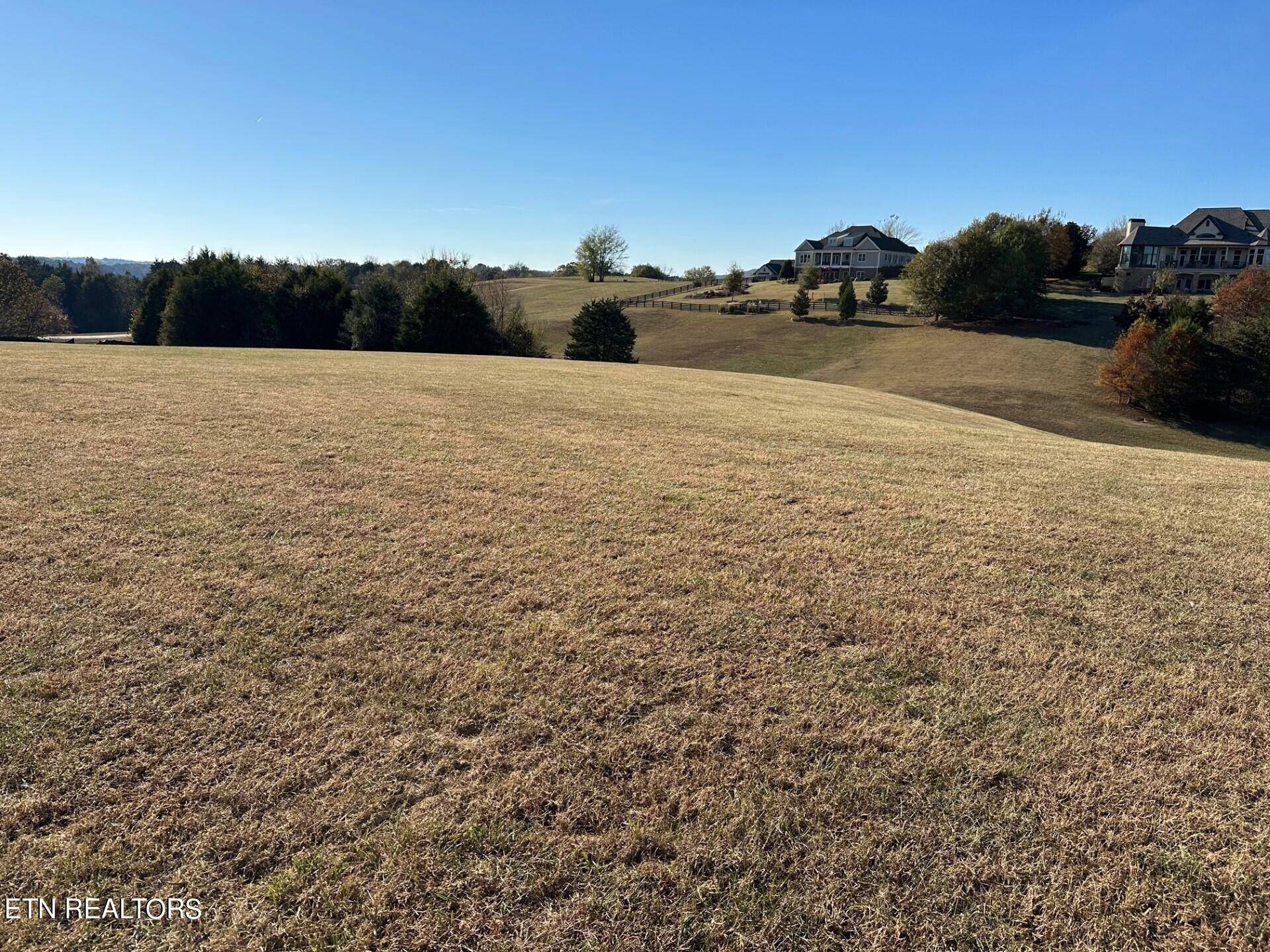 Vonore, TN 37885,Lot 35 Thunder Ridge DR