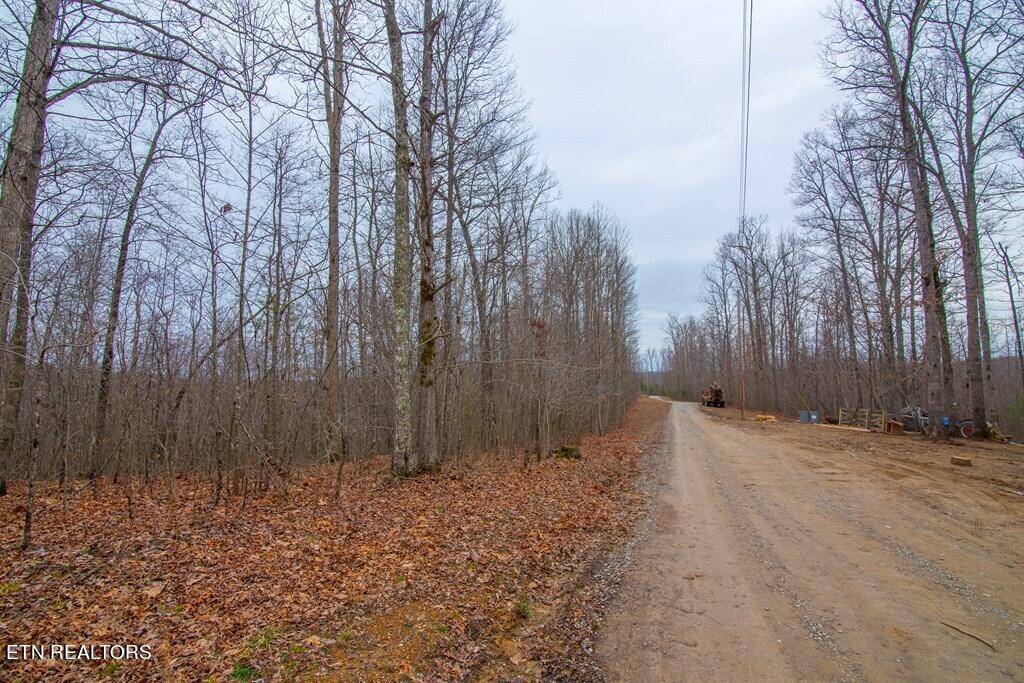 Crawford, TN 38554,Mangled Vine Tr