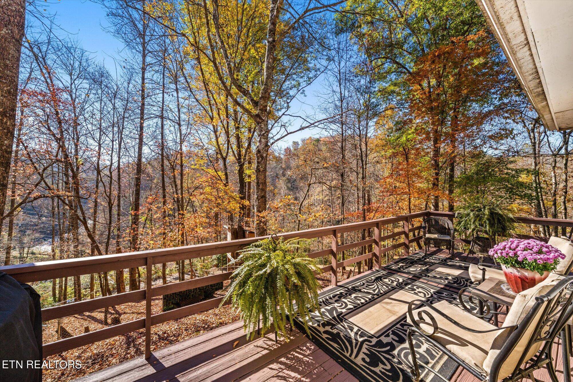 Gatlinburg, TN 37738,1709 Floyd WAY