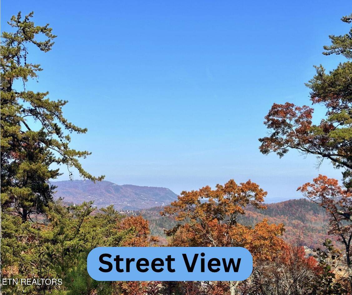 Sevierville, TN 37862,Lot 40 Little Round Top Ln