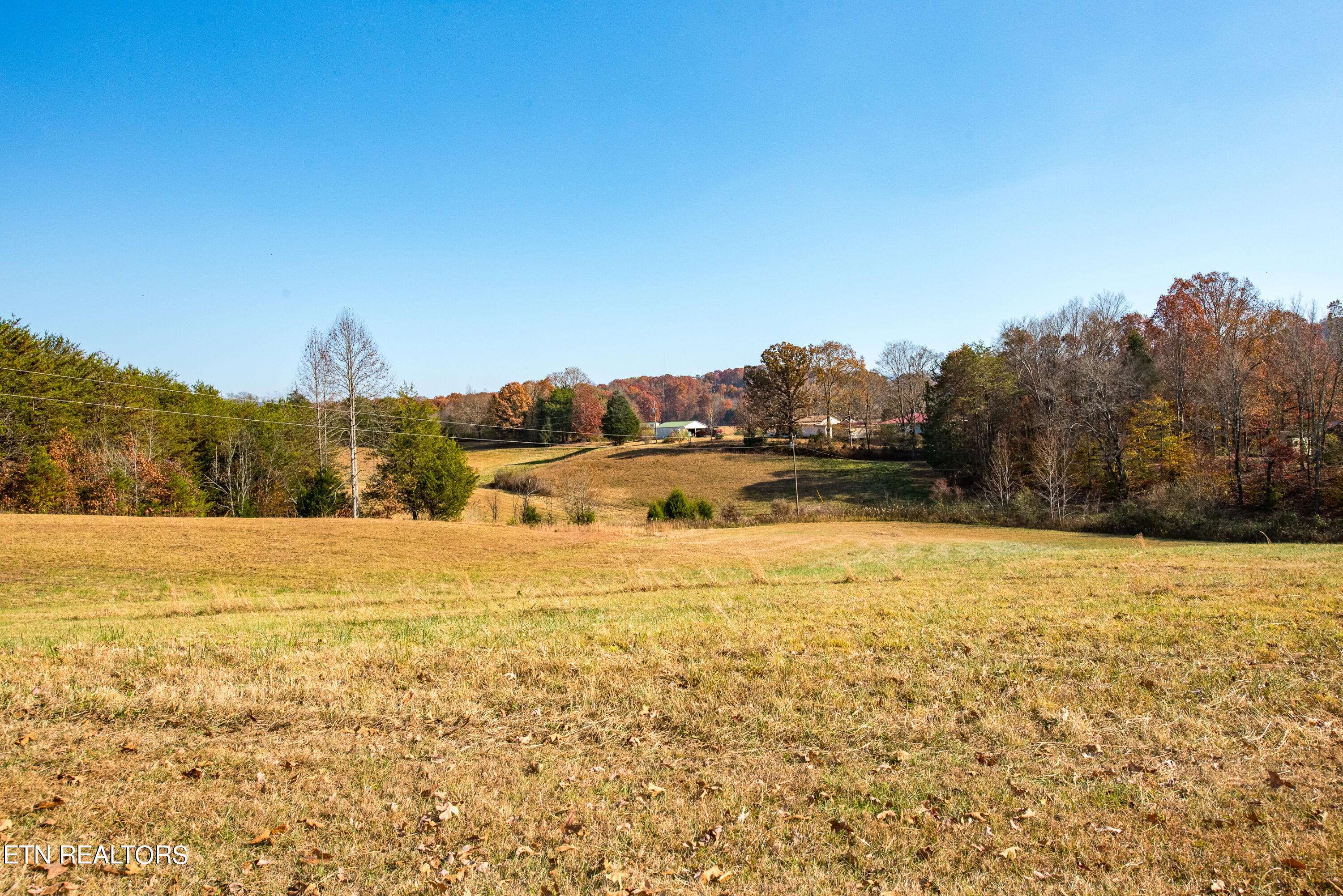 Tellico Plains, TN 37385,Ballplay Rd