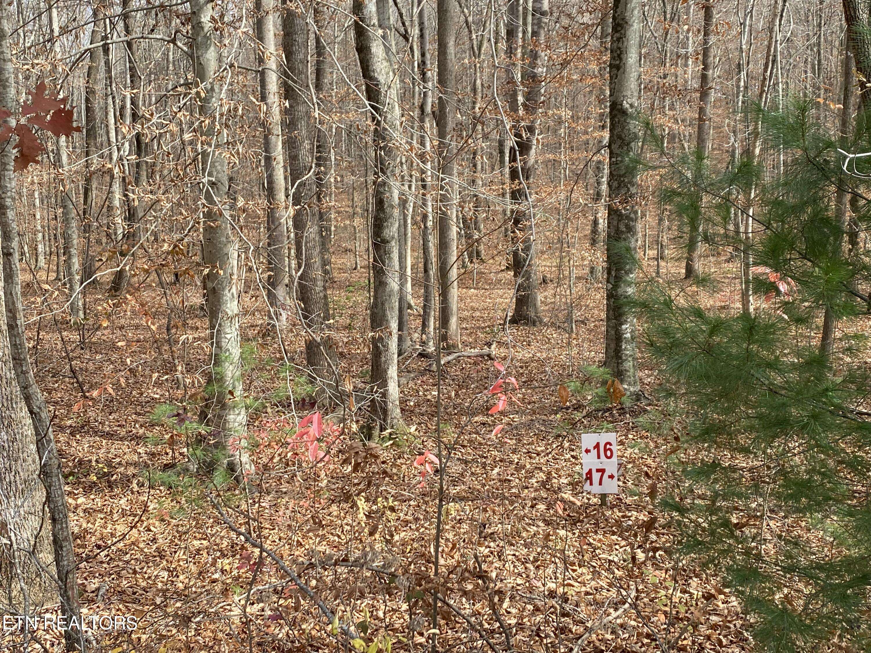 Oneida, TN 37841,Lot 15 & 16 Evergreen DR