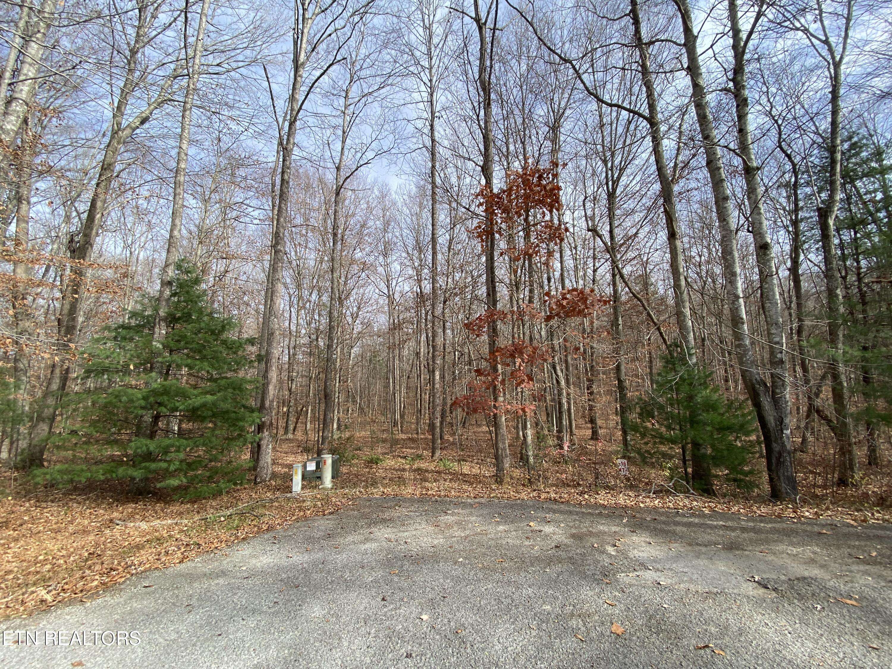 Oneida, TN 37841,Lot 15 & 16 Evergreen DR