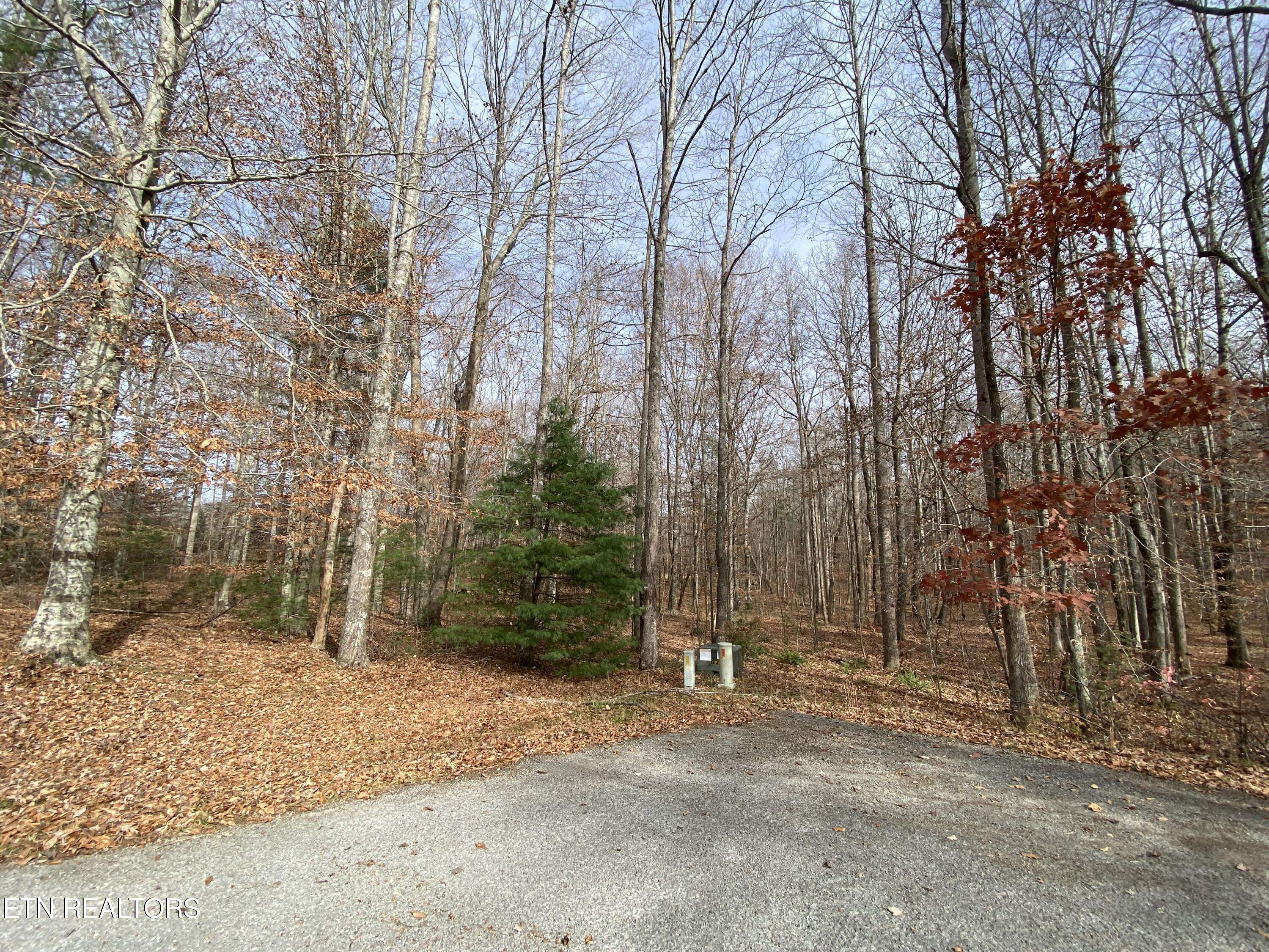 Oneida, TN 37841,Lot 15 & 16 Evergreen DR