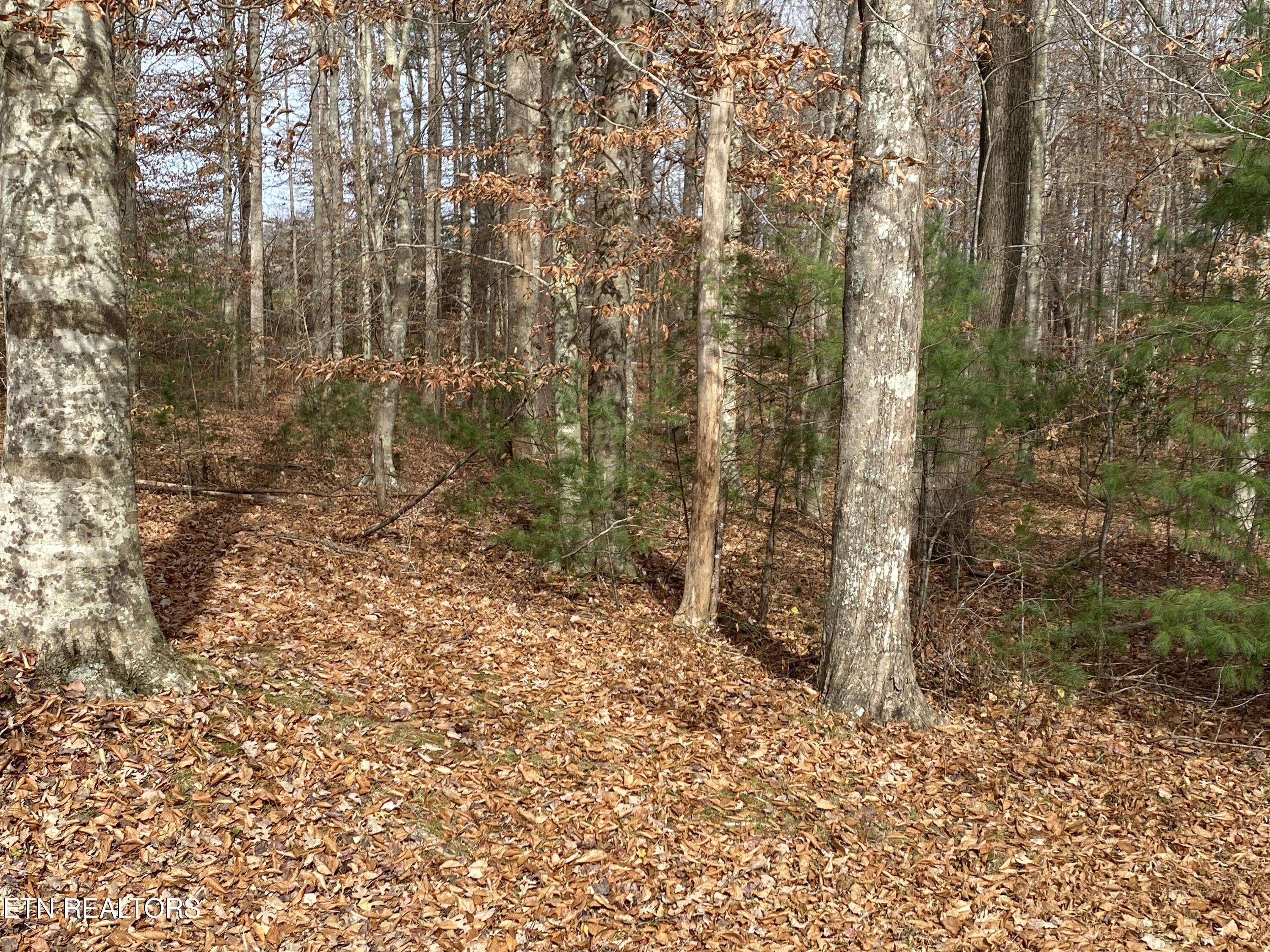 Oneida, TN 37841,Lot 15 & 16 Evergreen DR