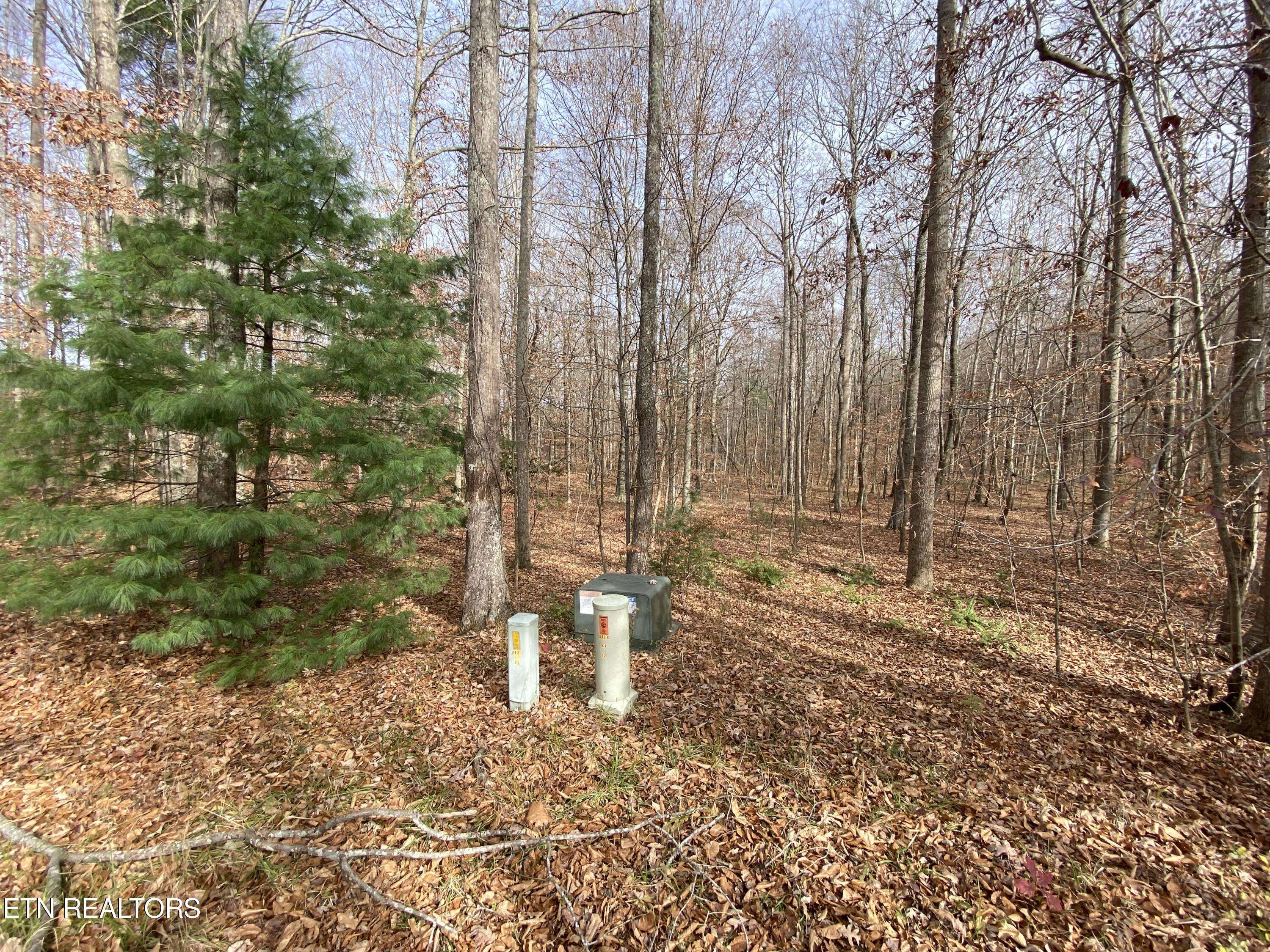 Oneida, TN 37841,Lot 15 & 16 Evergreen DR