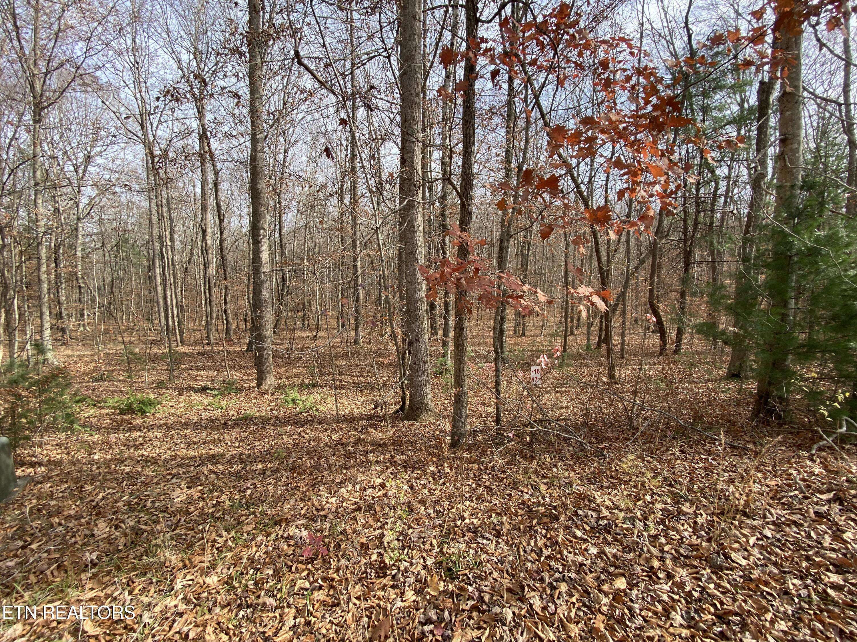 Oneida, TN 37841,Lot 15 & 16 Evergreen DR