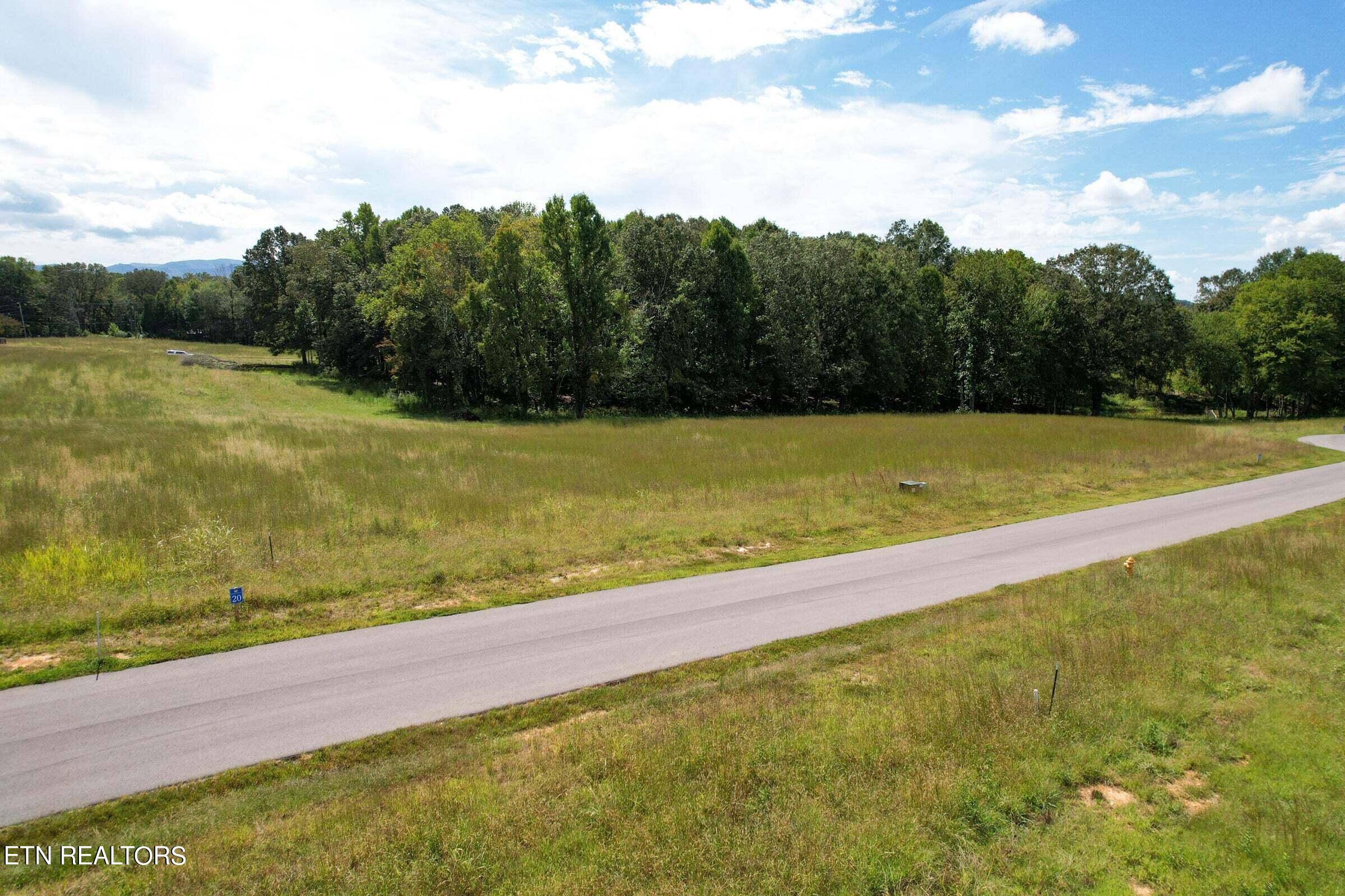 White Pine, TN 37890,Lot 19 Sunset Cove DR