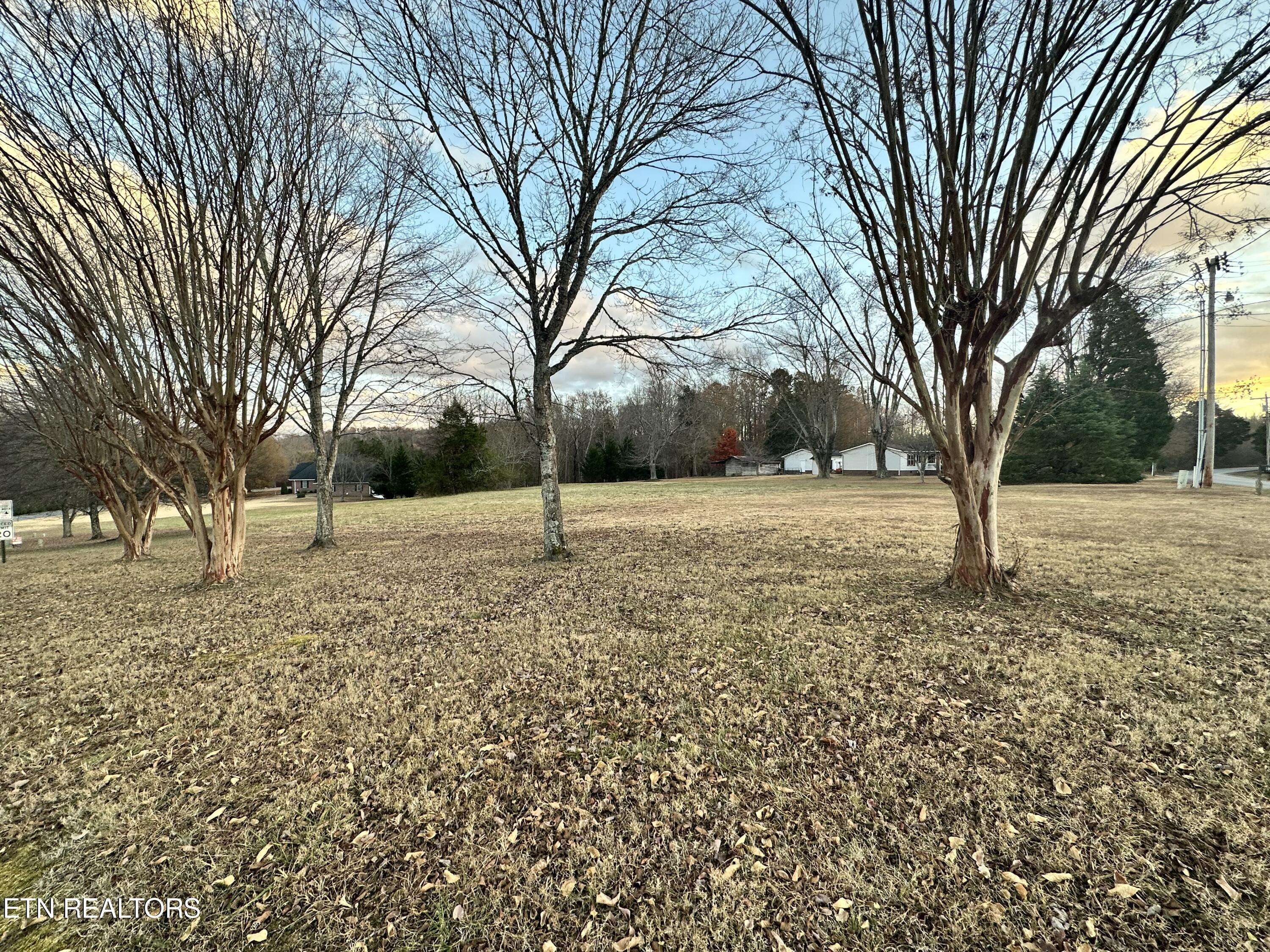 Harriman, TN 37748,Swan Pond CIR