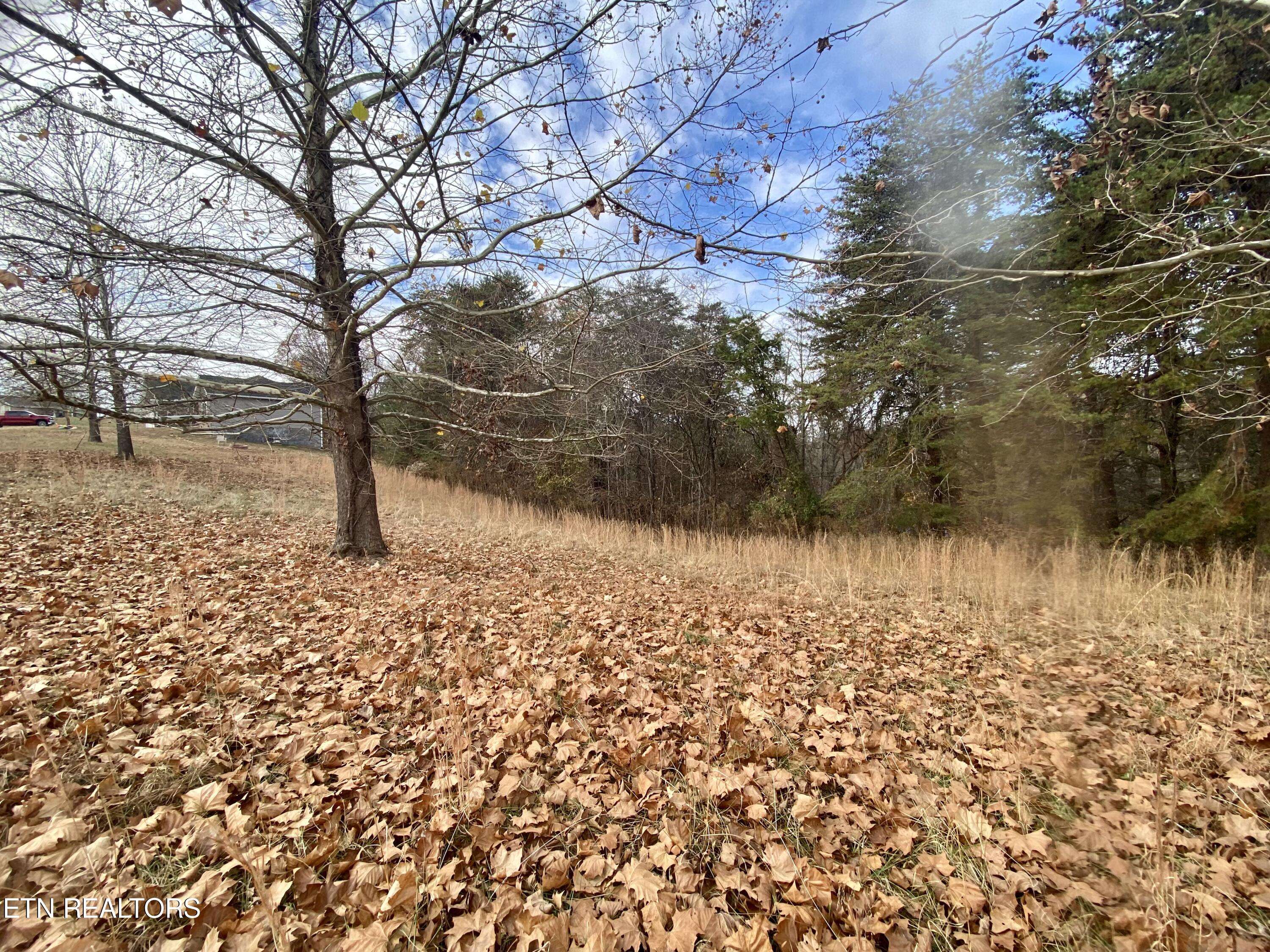 Kodak, TN 37764,Lot 15 River Cliff DR