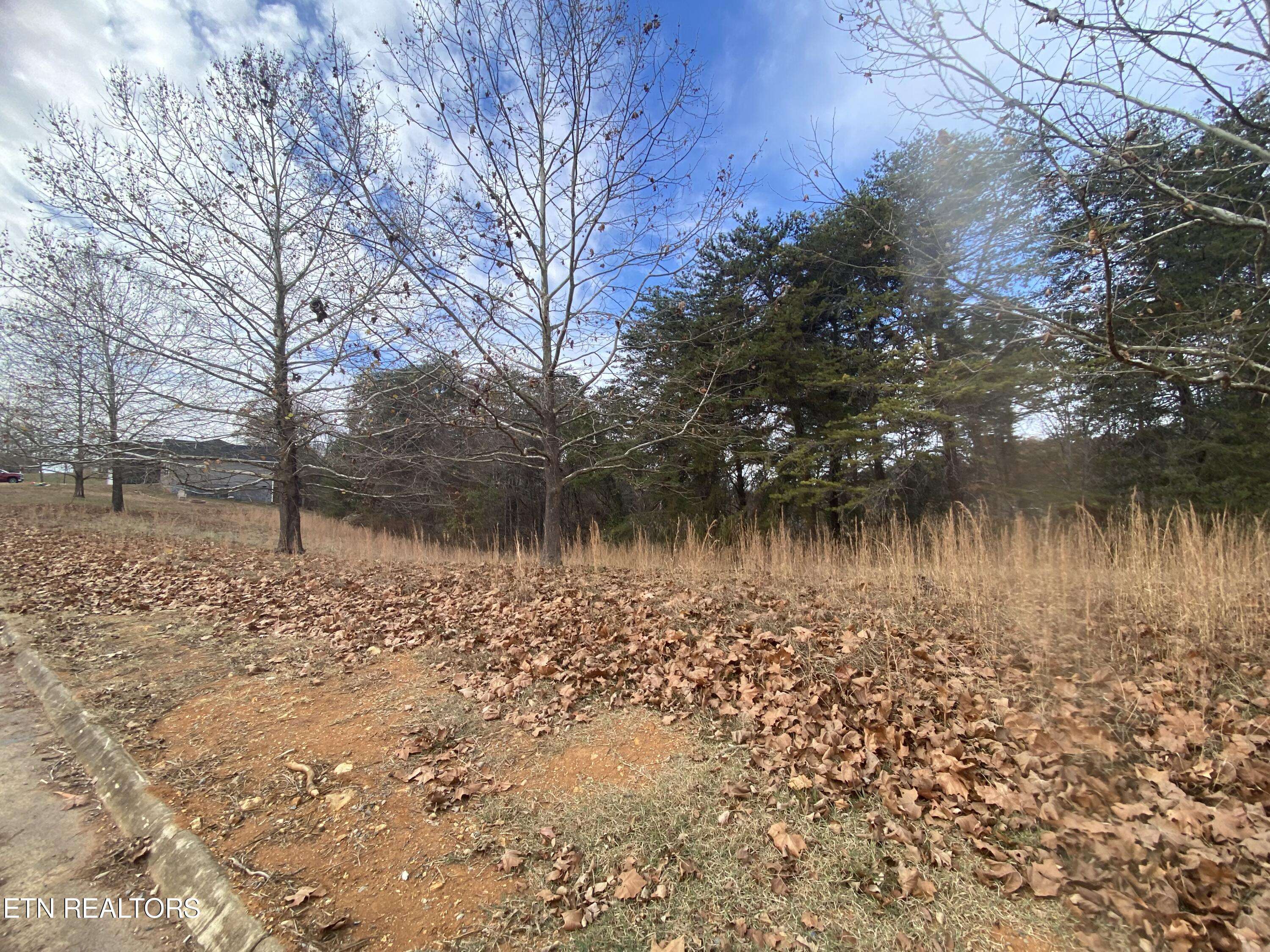 Kodak, TN 37764,Lot 15 River Cliff DR