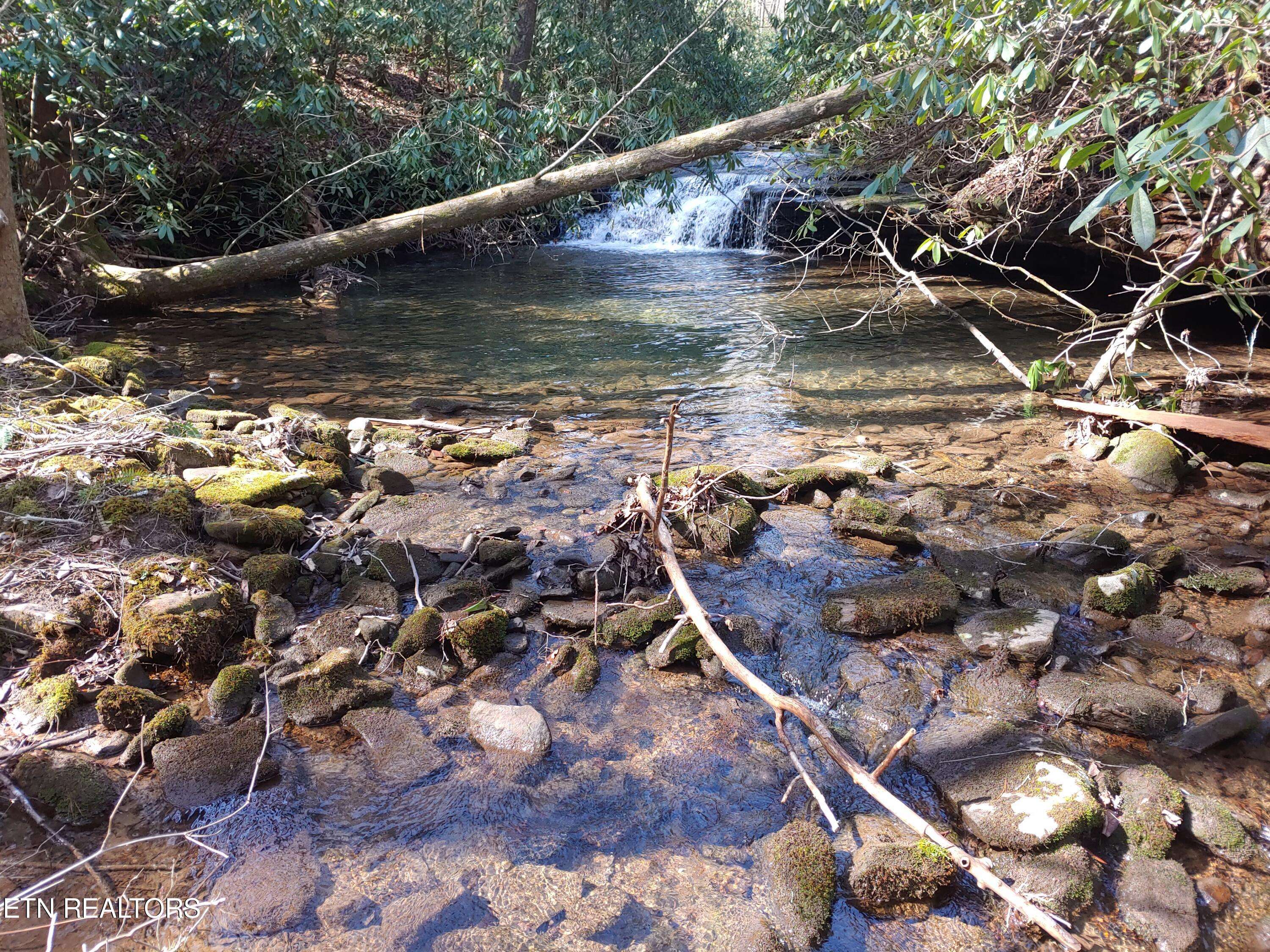 Rockwood, TN 37854,Smith Mountain Rd