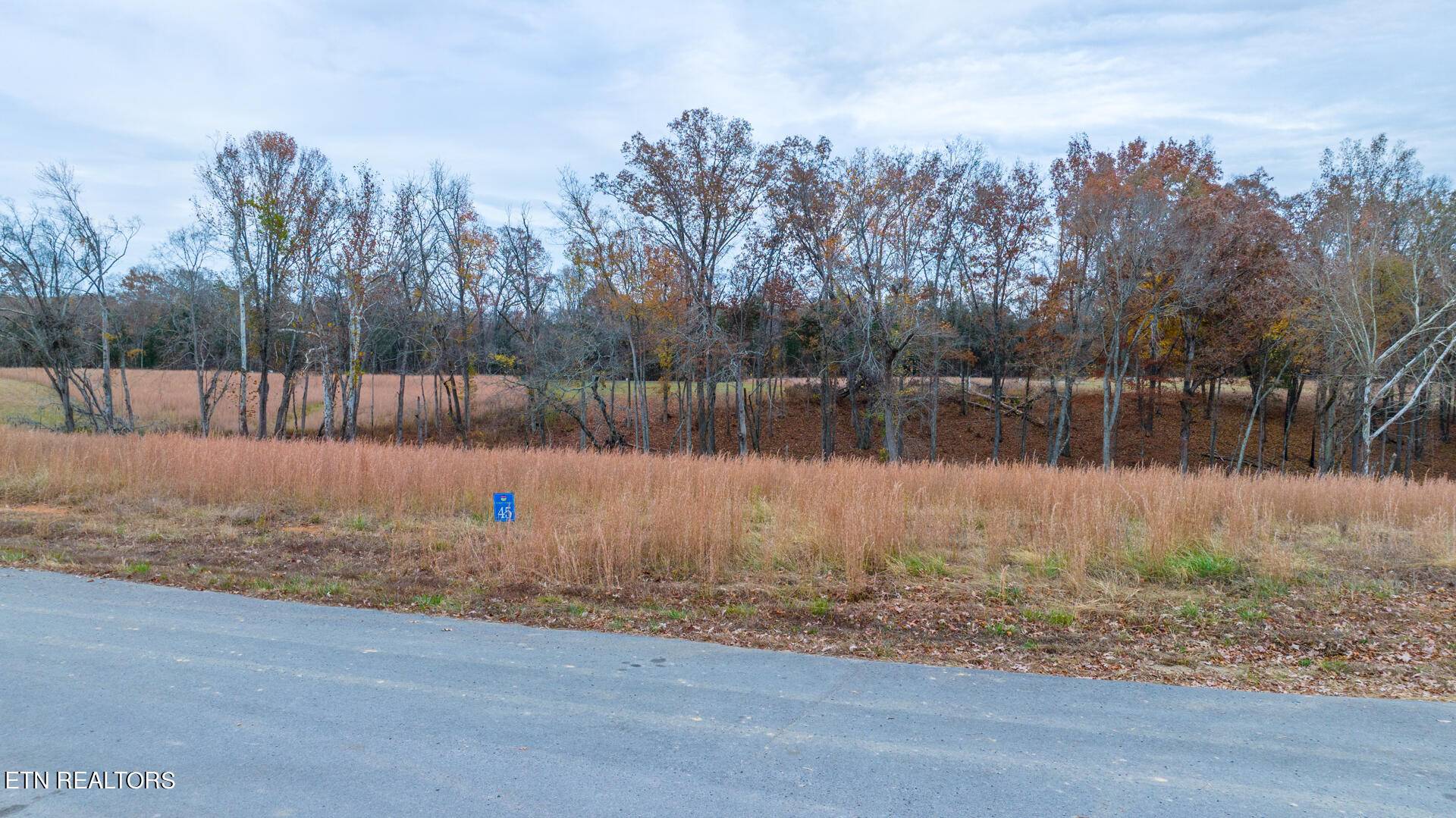 Baneberry, TN 37890,English Mountain PT